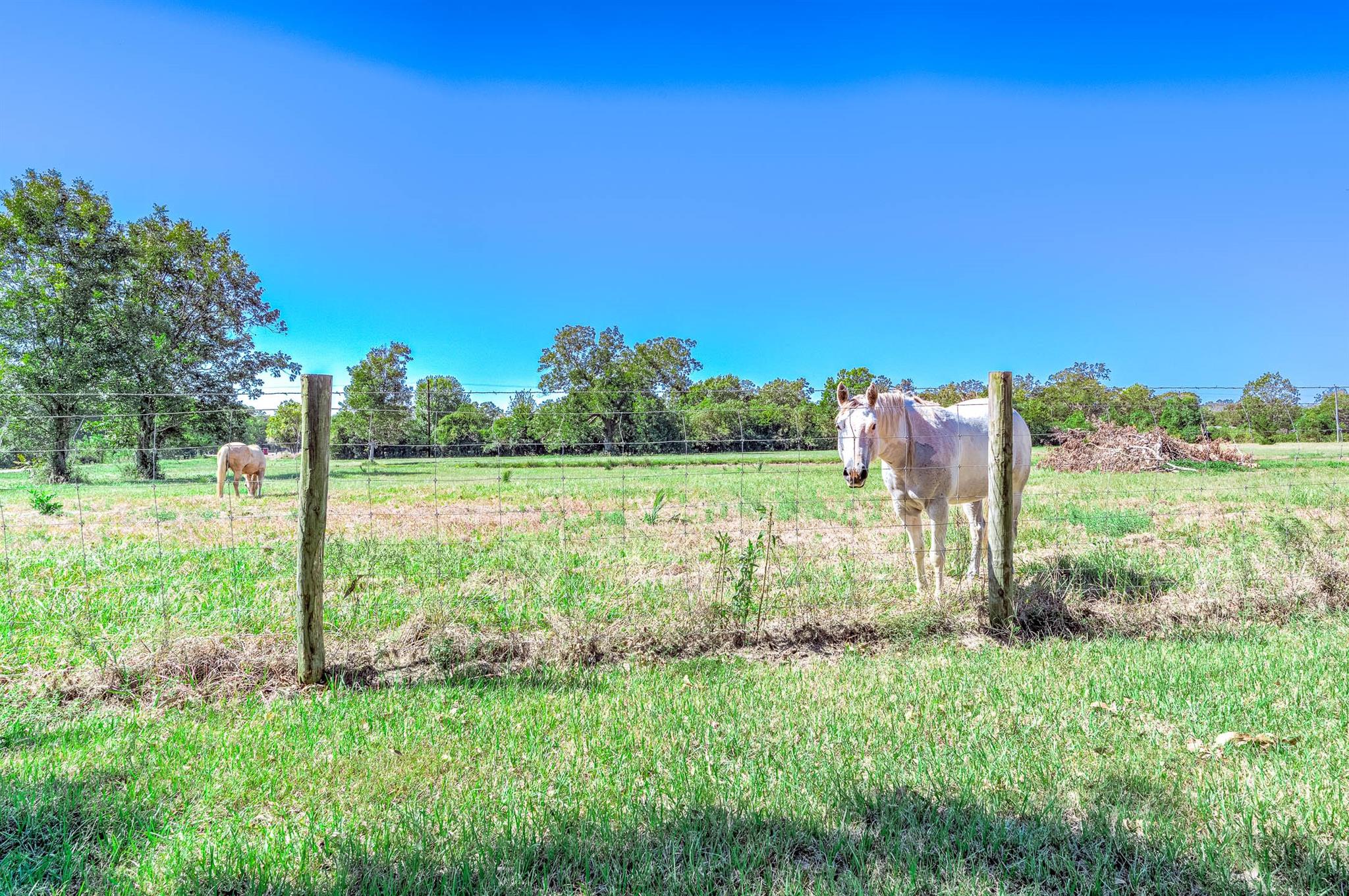 3295 Fm 524 Road, Sweeny Tx 77480 Property Photo 4