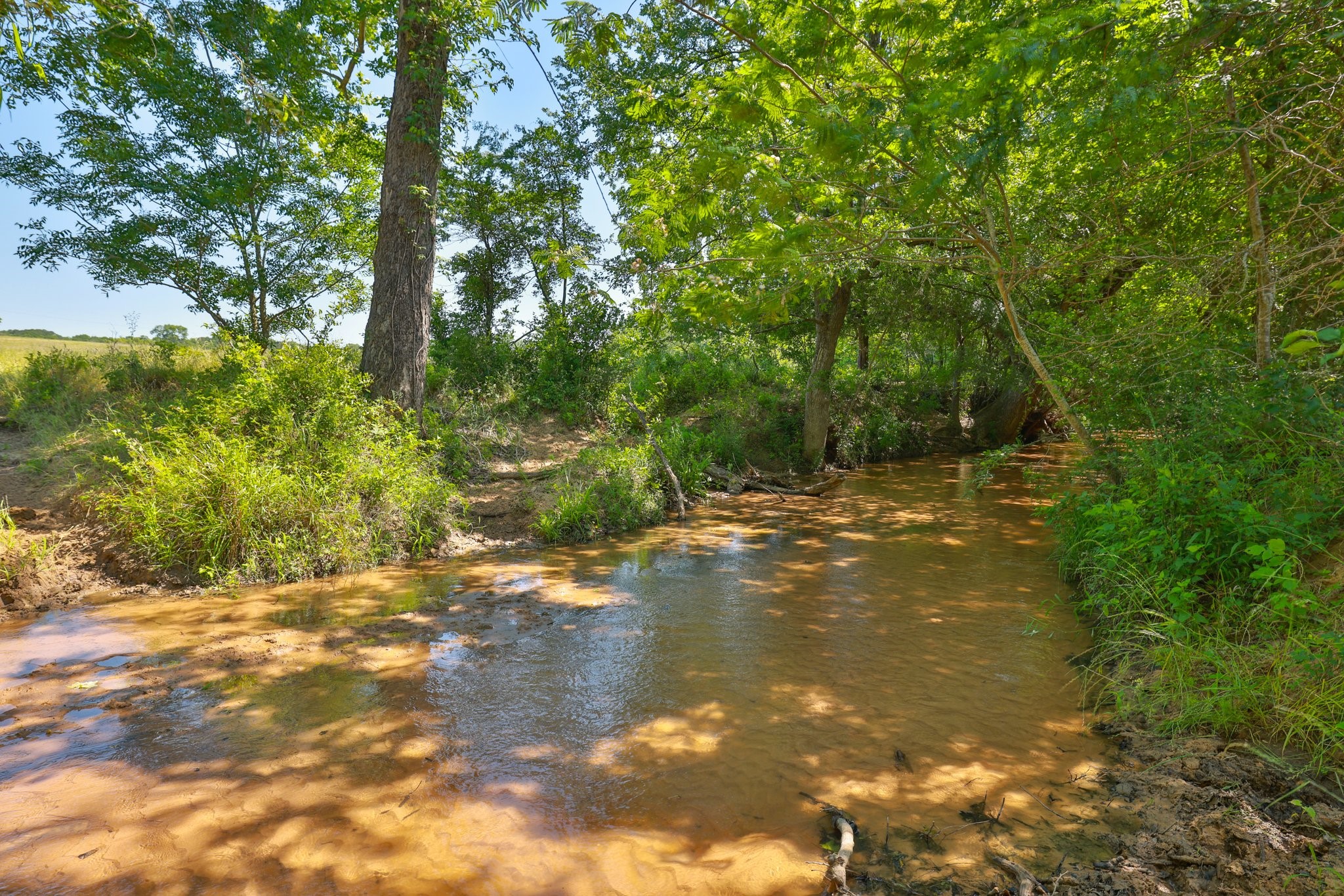 Tract #10 Cr 305 Road Property Photo 1