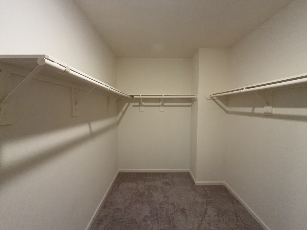 18618 Hunter William Way Property Photo 13