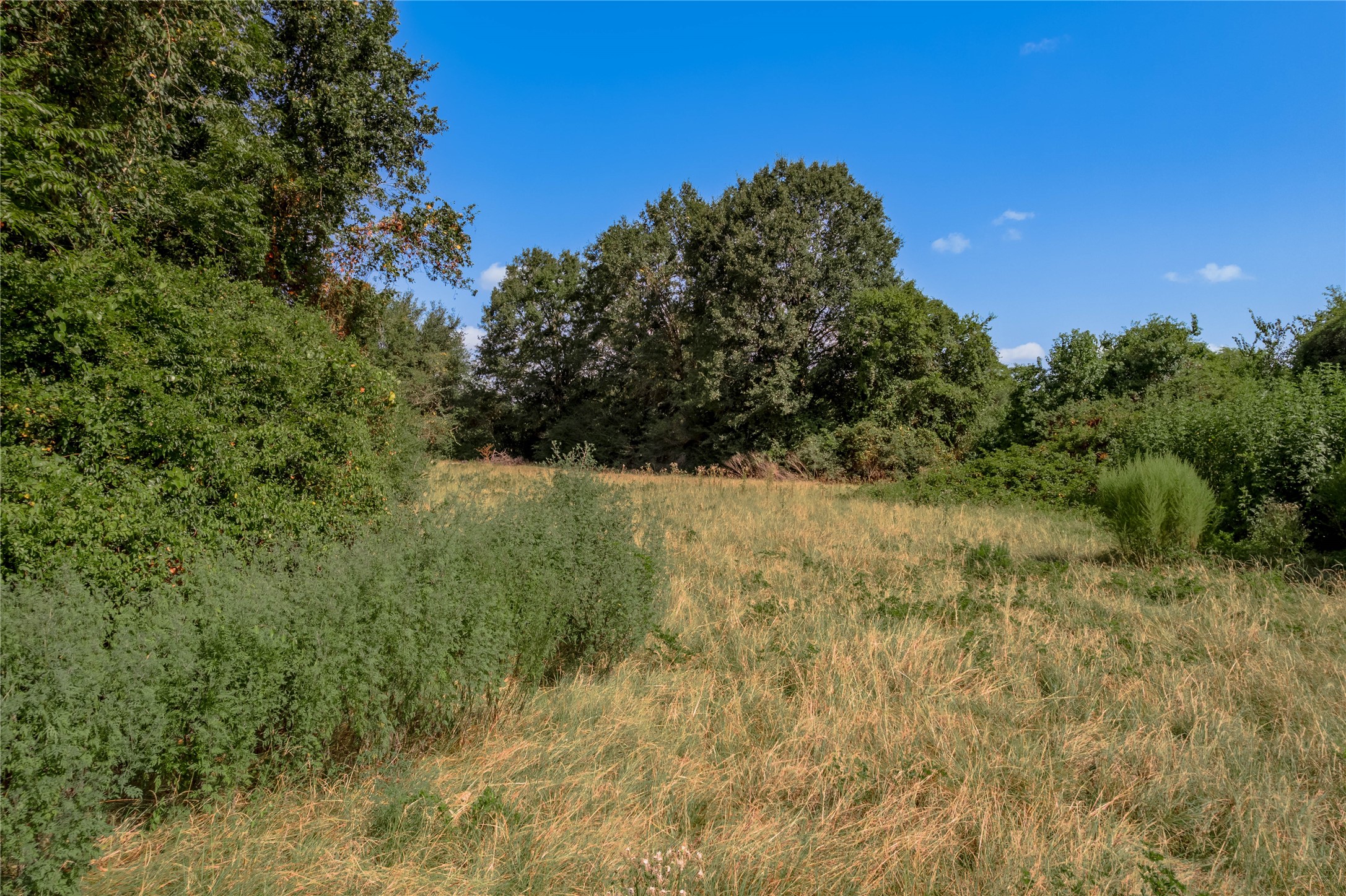 11640 Fm 230 Property Photo 35