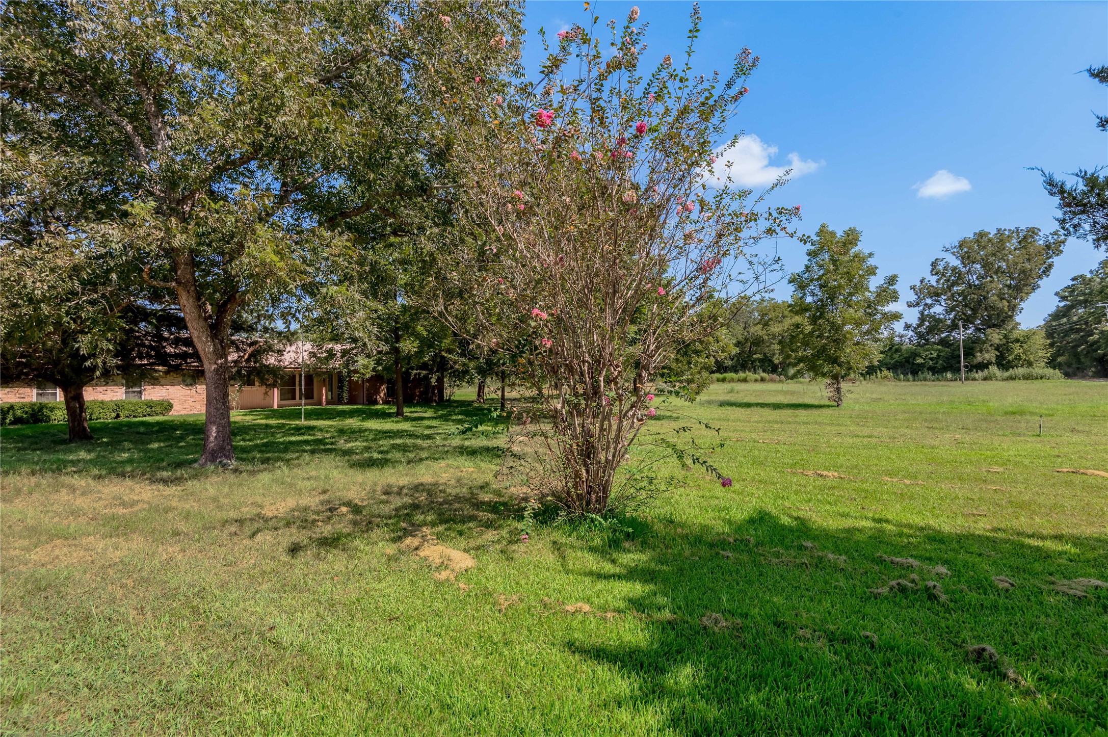 11640 Fm 230 Property Photo 37