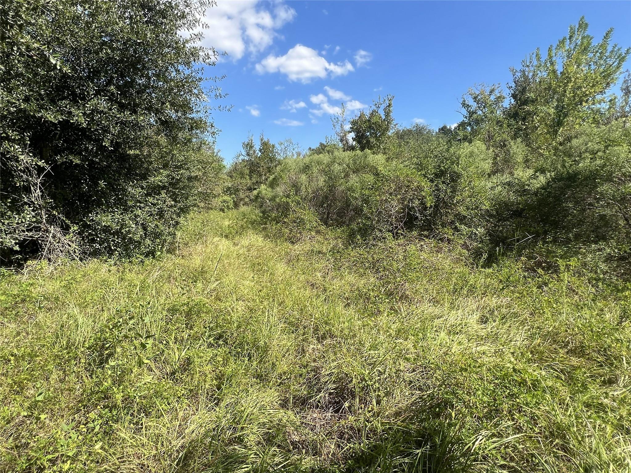 0 County Road 814 Road Property Photo 7