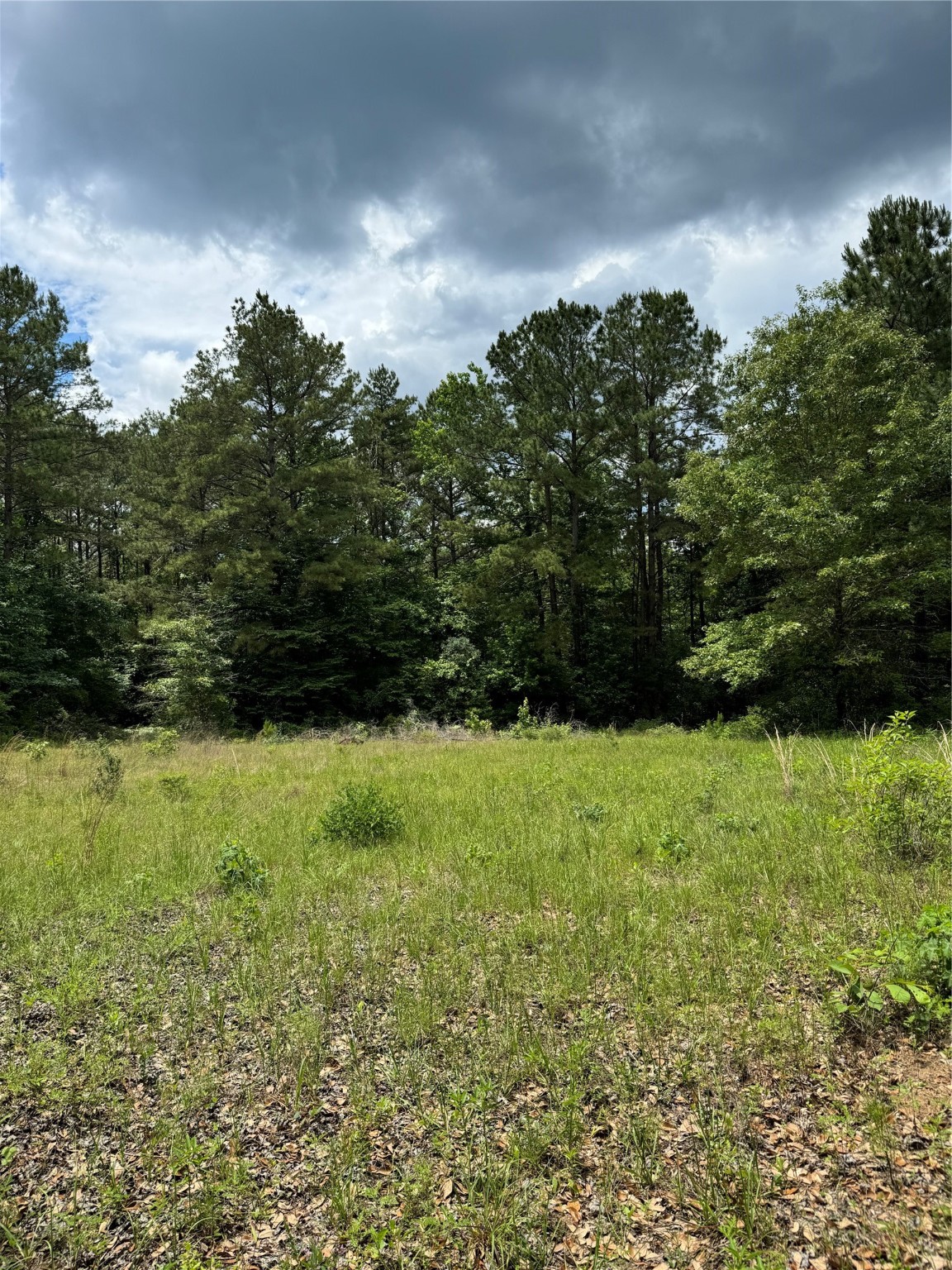 2511 County Road 4280