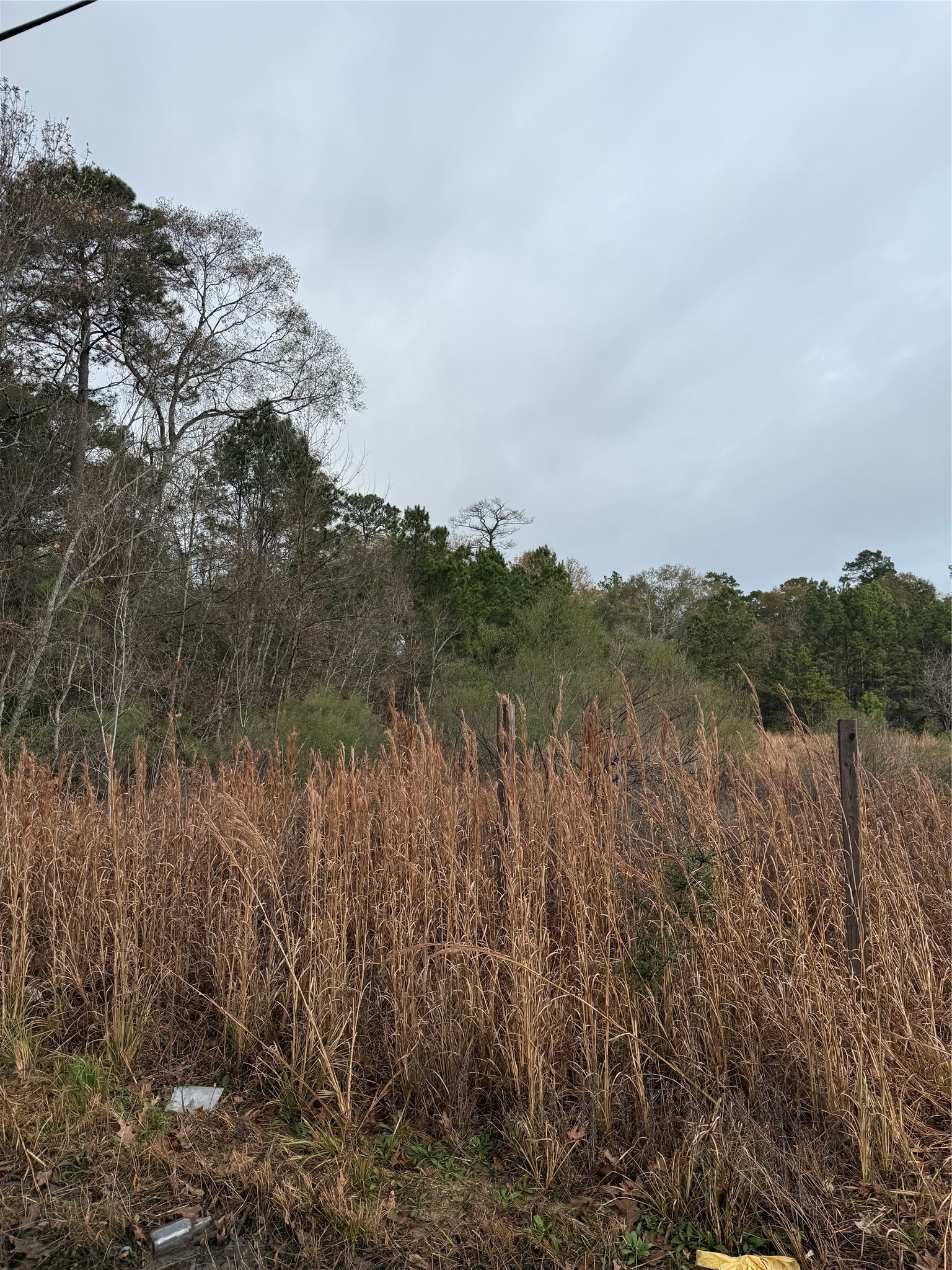 Tbd River E Property Photo 2