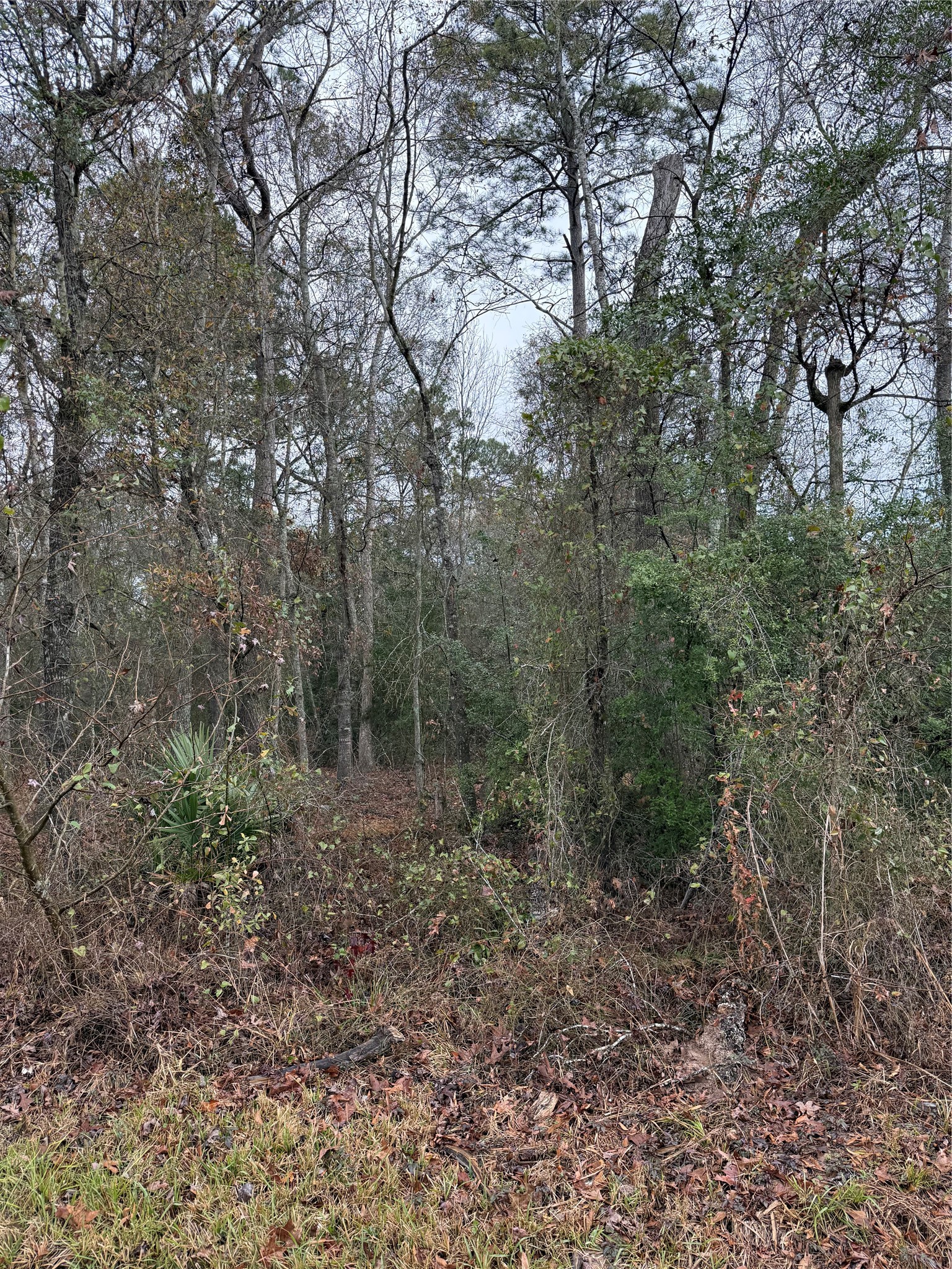 Tbd River E Property Photo 3