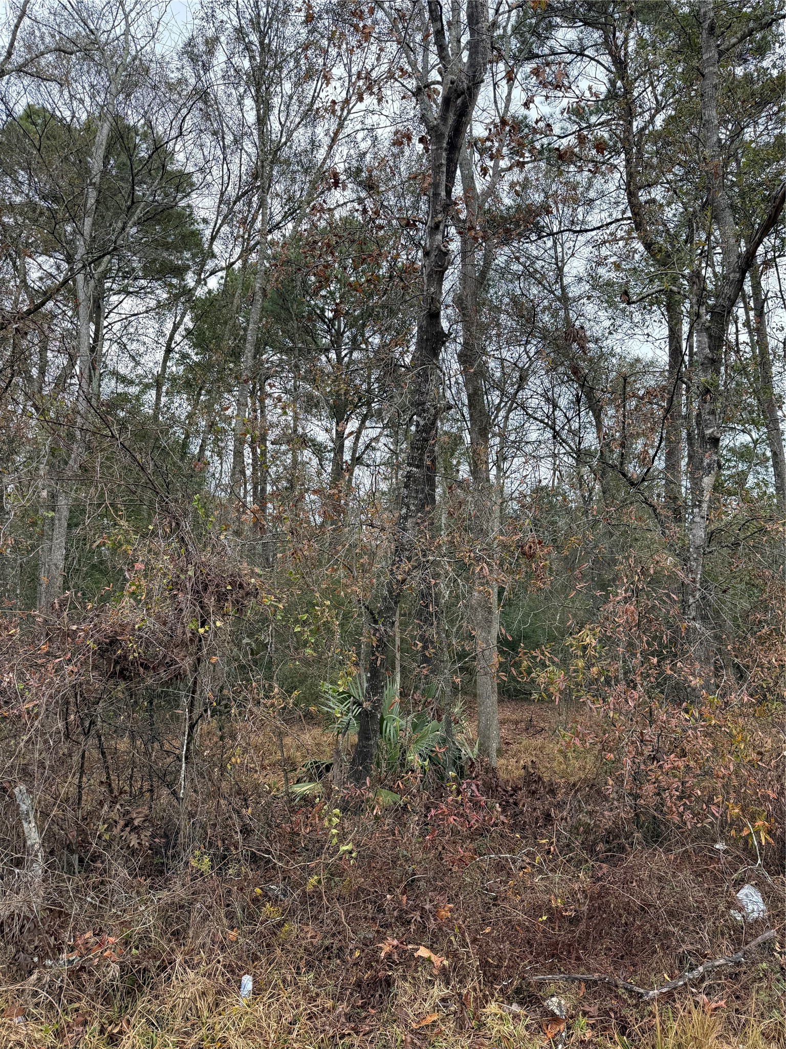 Tbd River E Property Photo 4