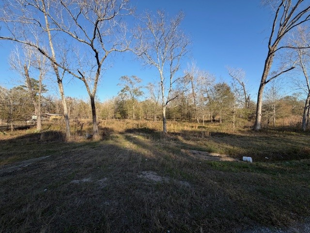 10950 Highway 321 Property Photo 1