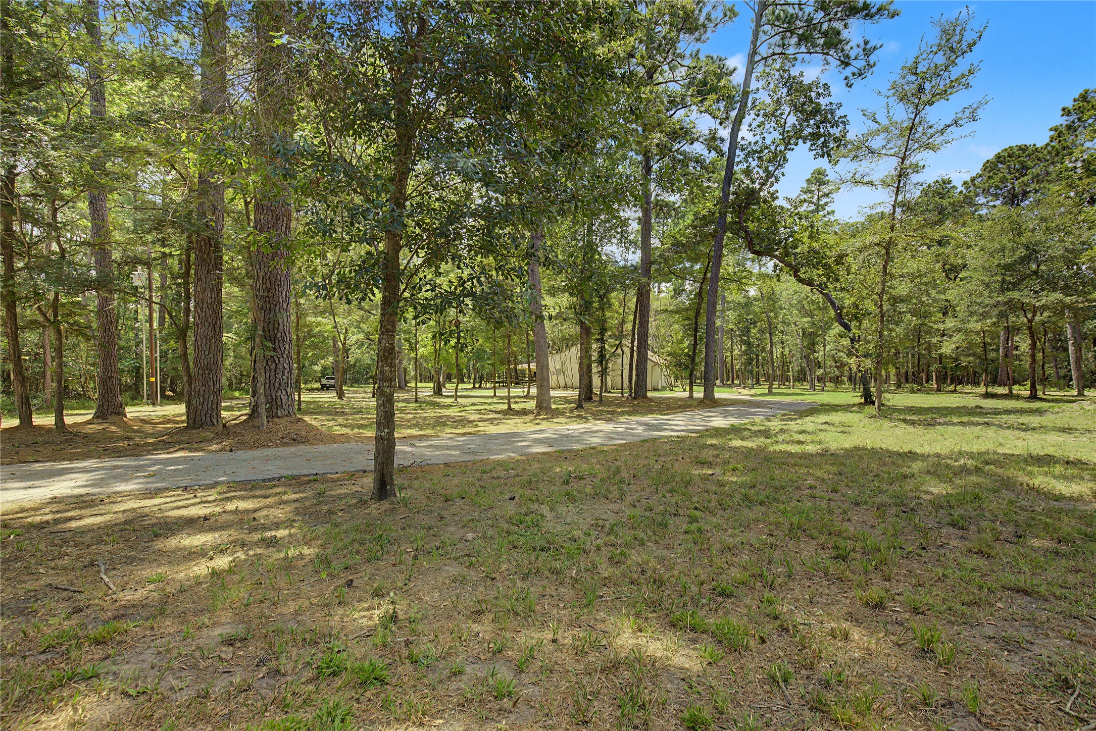 83 Dahlia Road Property Photo 41