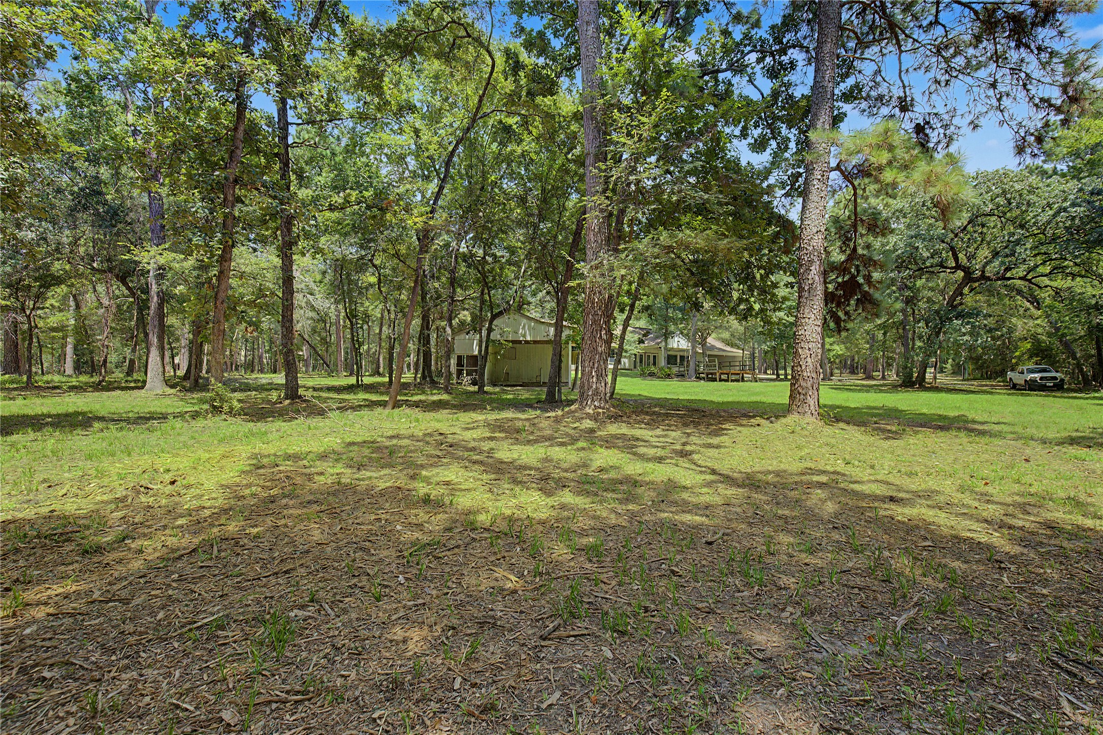 83 Dahlia Road Property Photo 43