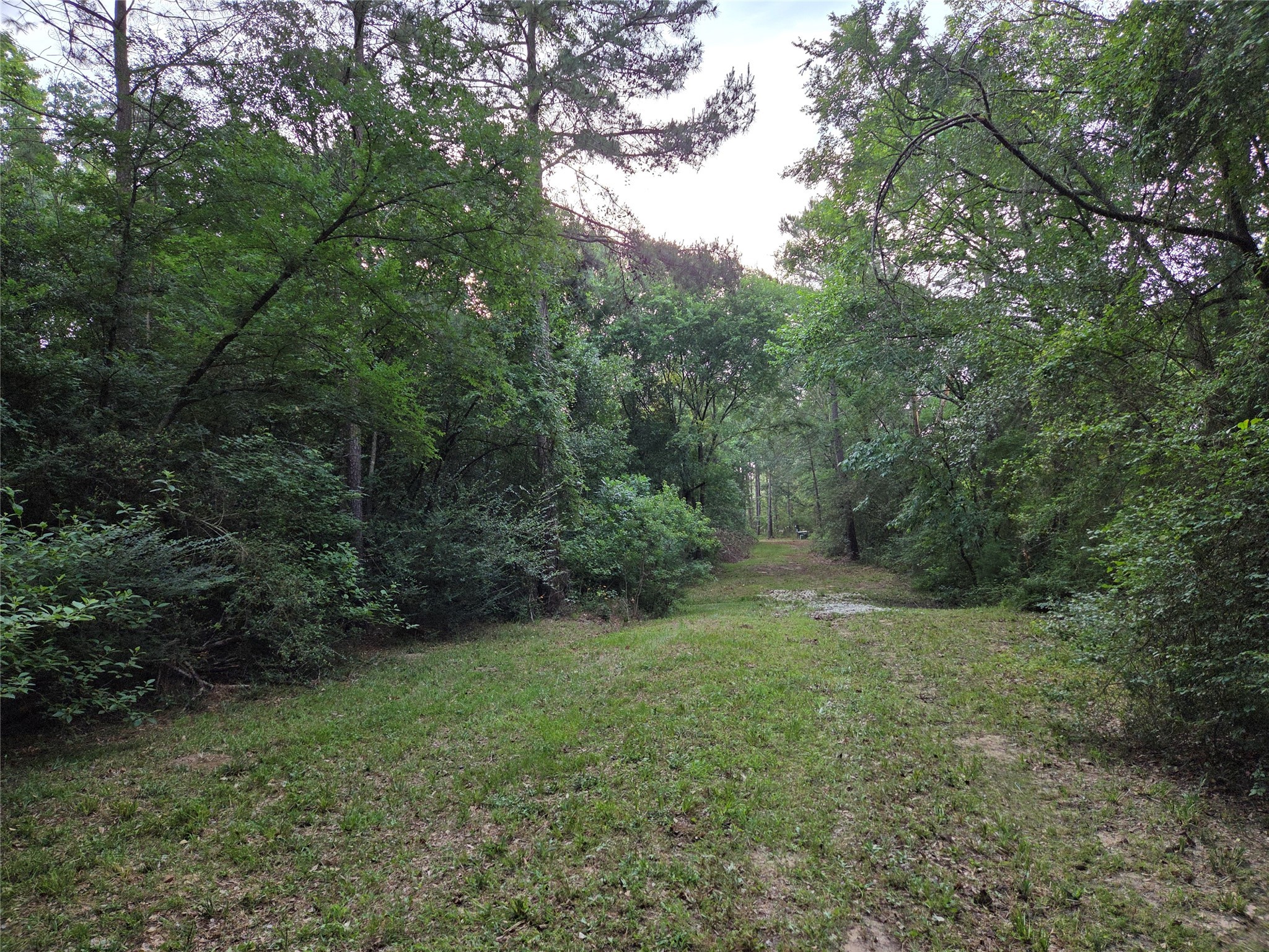 ~10.61 Acres Johnson Rd Property Photo 1