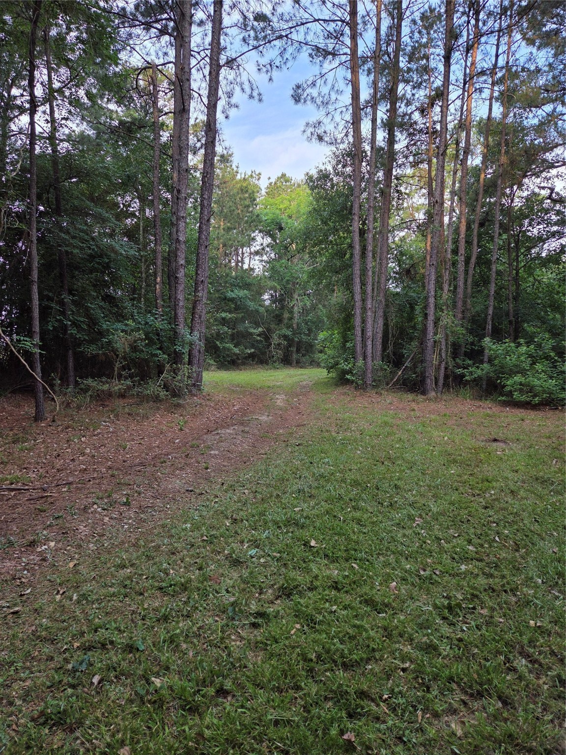 ~10.61 Acres Johnson Rd Property Photo 2