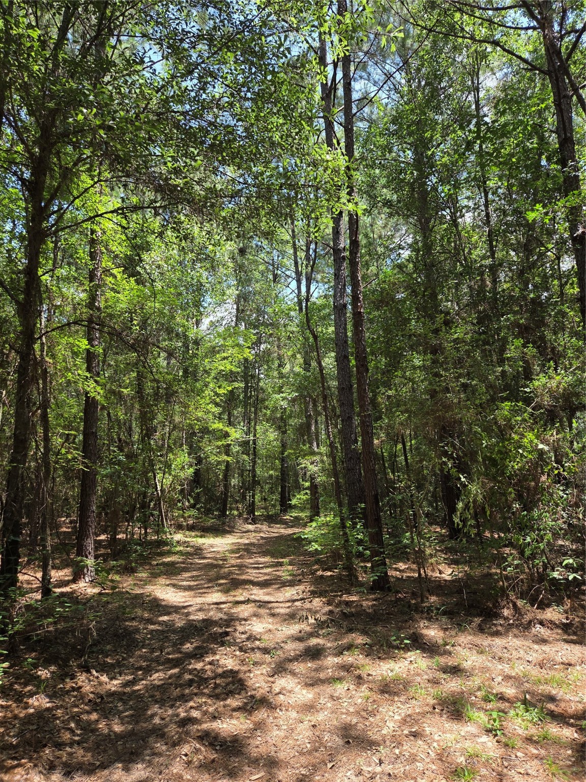 ~10.61 Acres Johnson Rd Property Photo 3