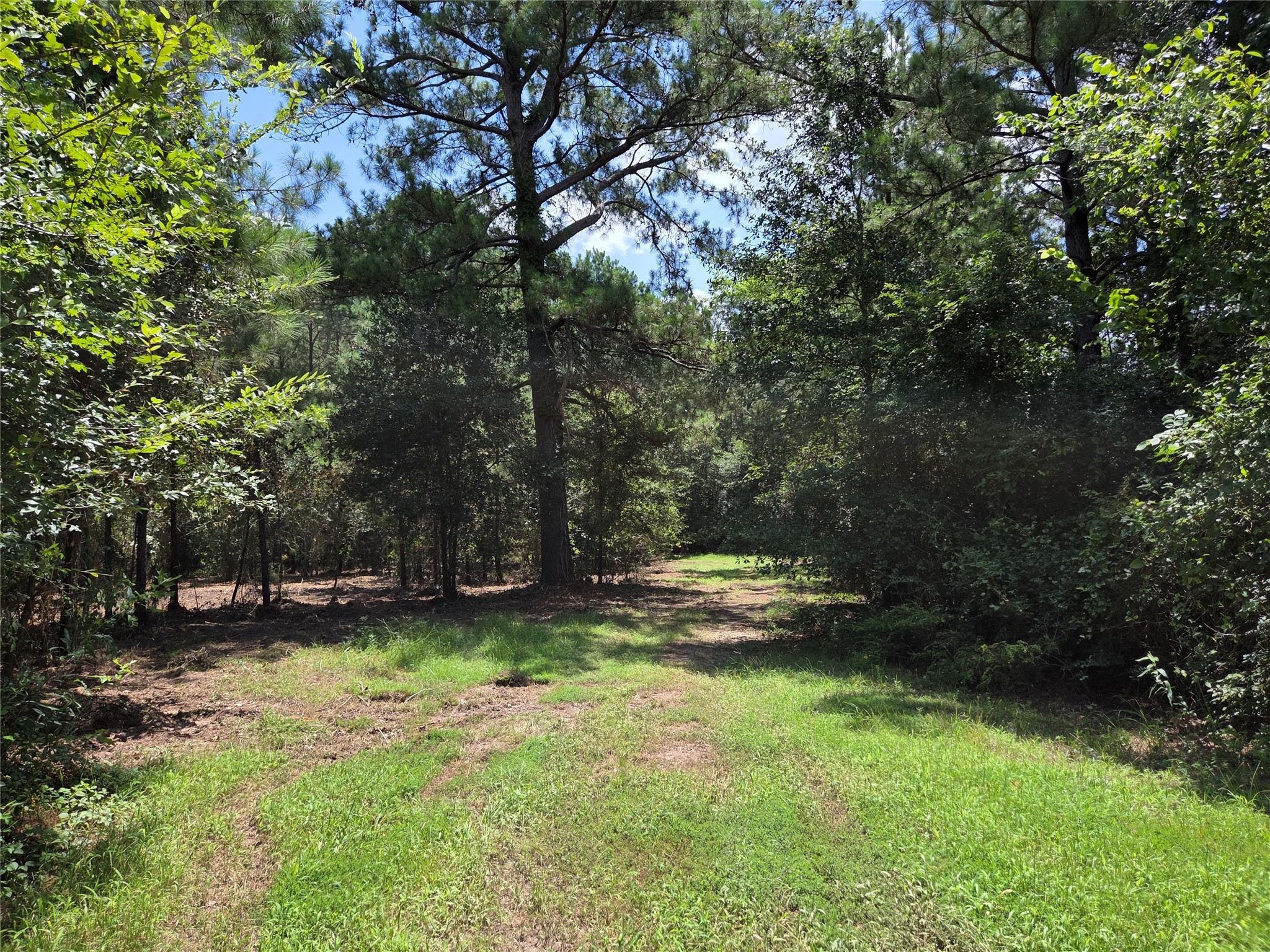 ~10.61 Acres Johnson Rd Property Photo 6