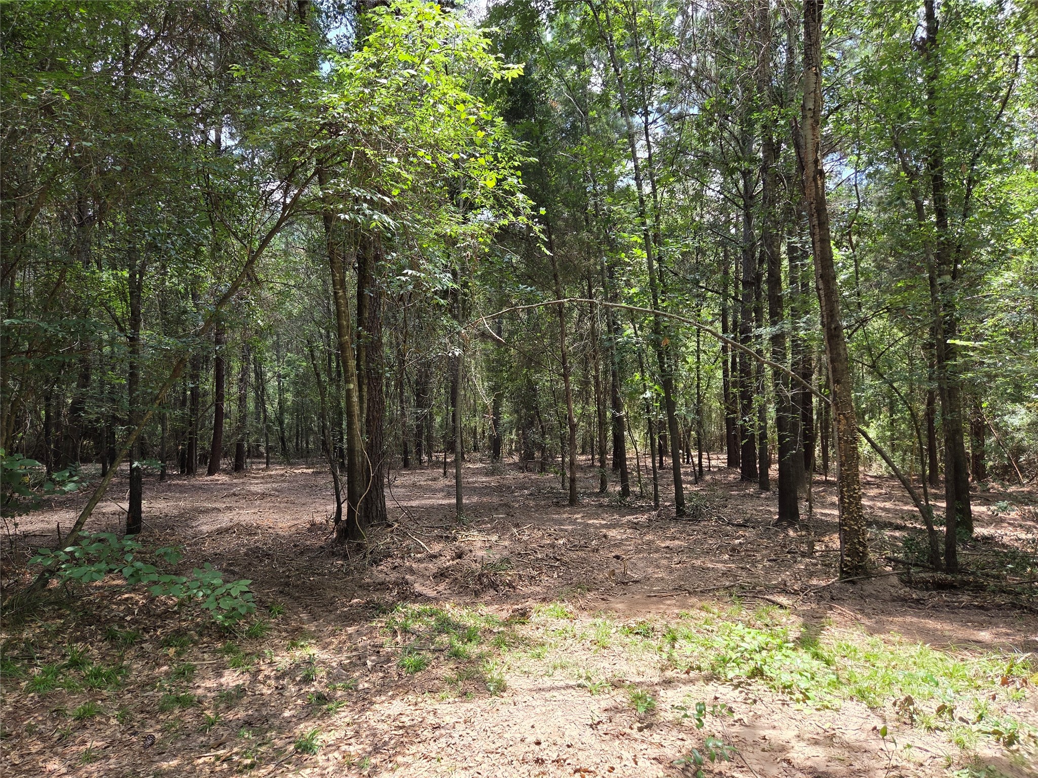 ~10.61 Acres Johnson Rd Property Photo 8