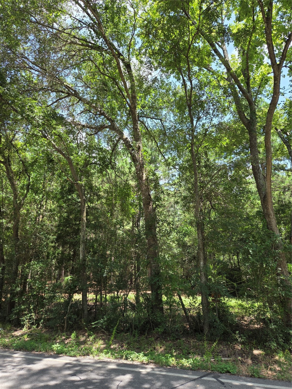 ~10.61 Acres Johnson Rd Property Photo 9