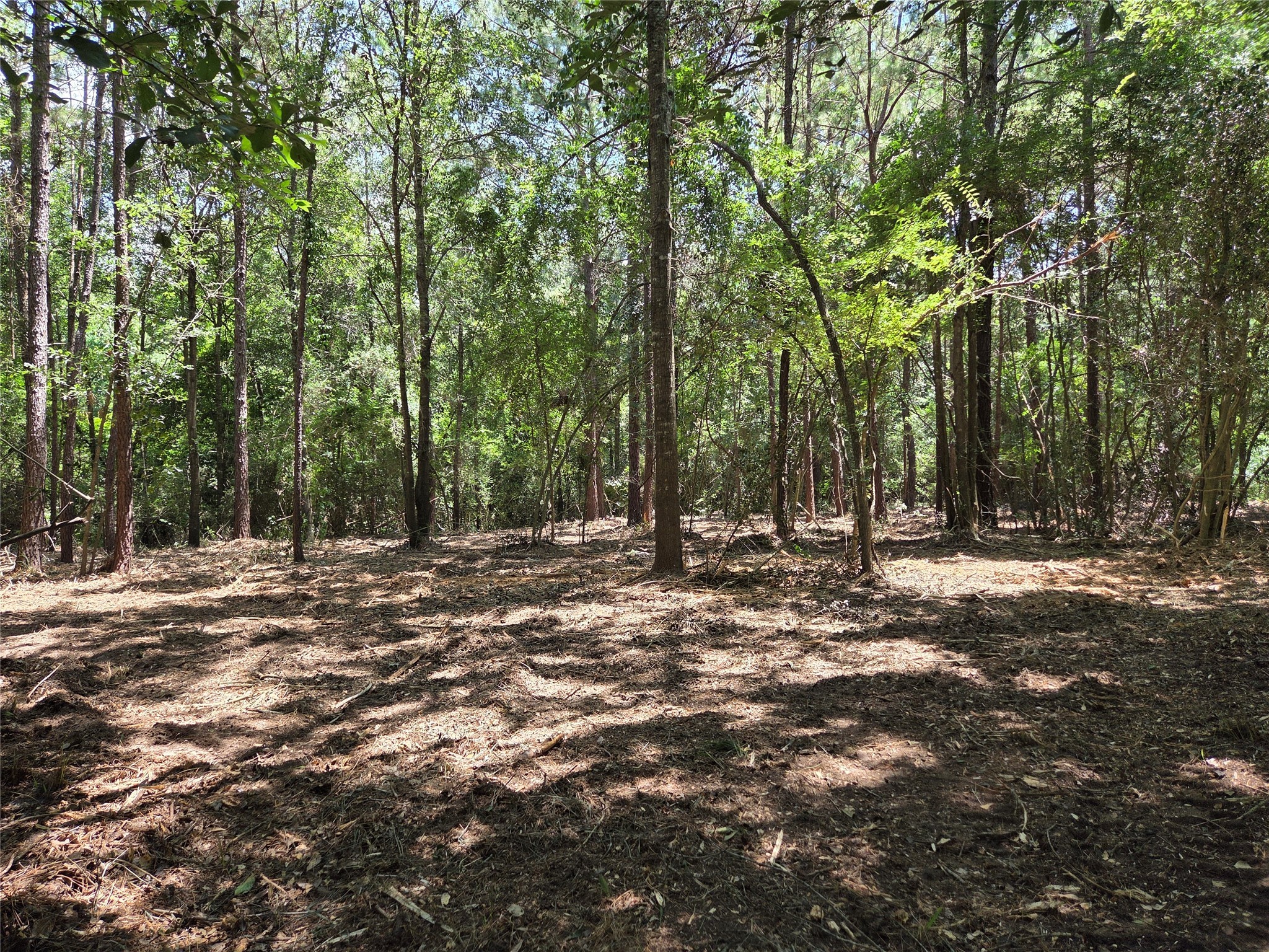 ~10.61 Acres Johnson Rd Property Photo 11