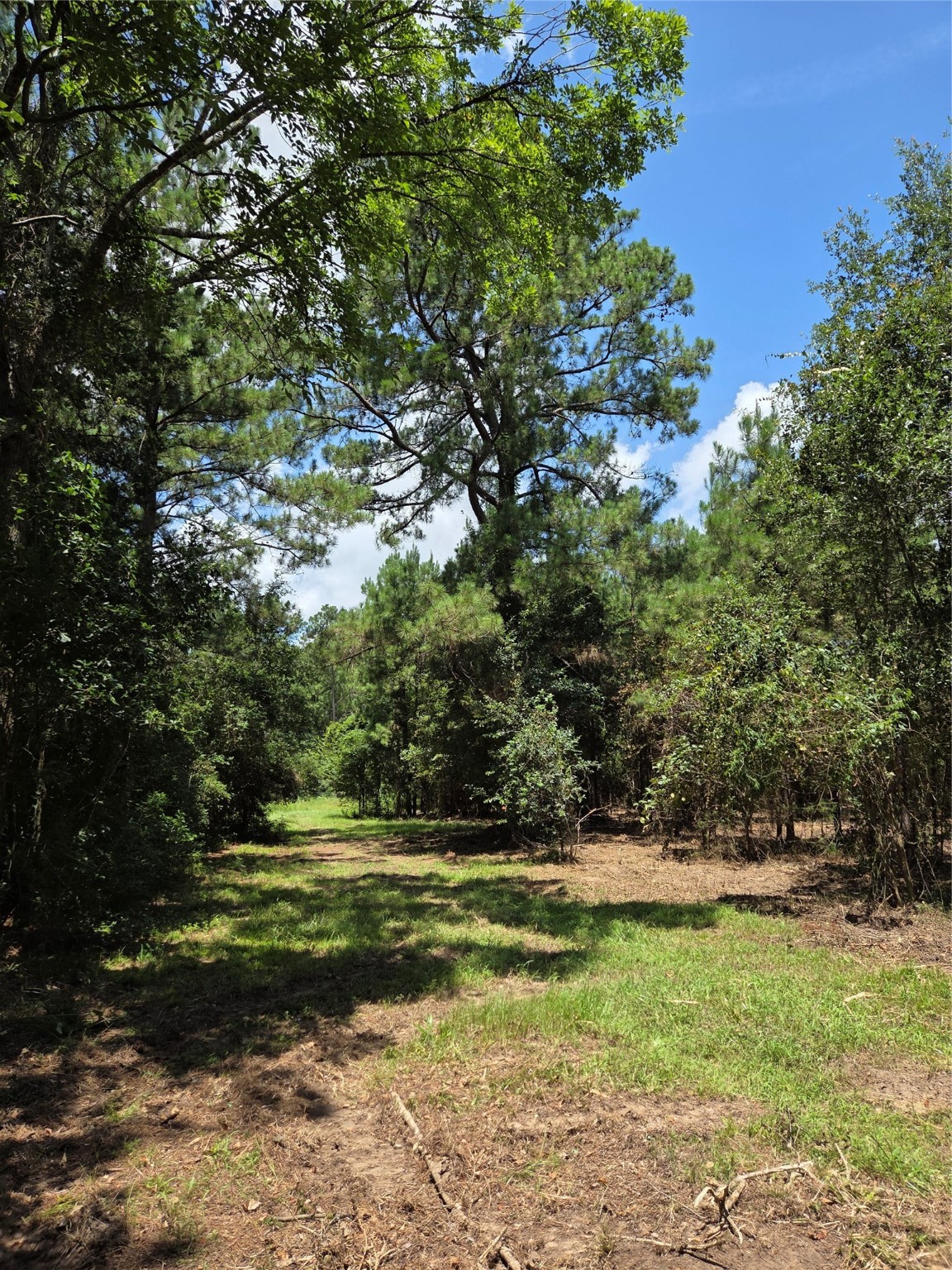 ~10.61 Acres Johnson Rd Property Photo 13