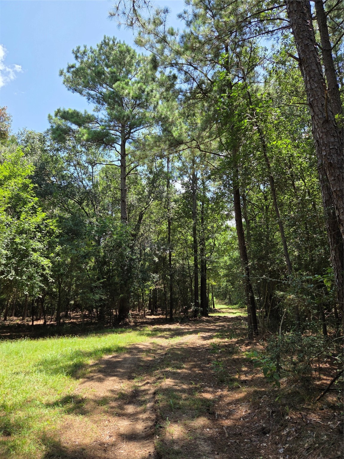 ~10.61 Acres Johnson Rd Property Photo 14