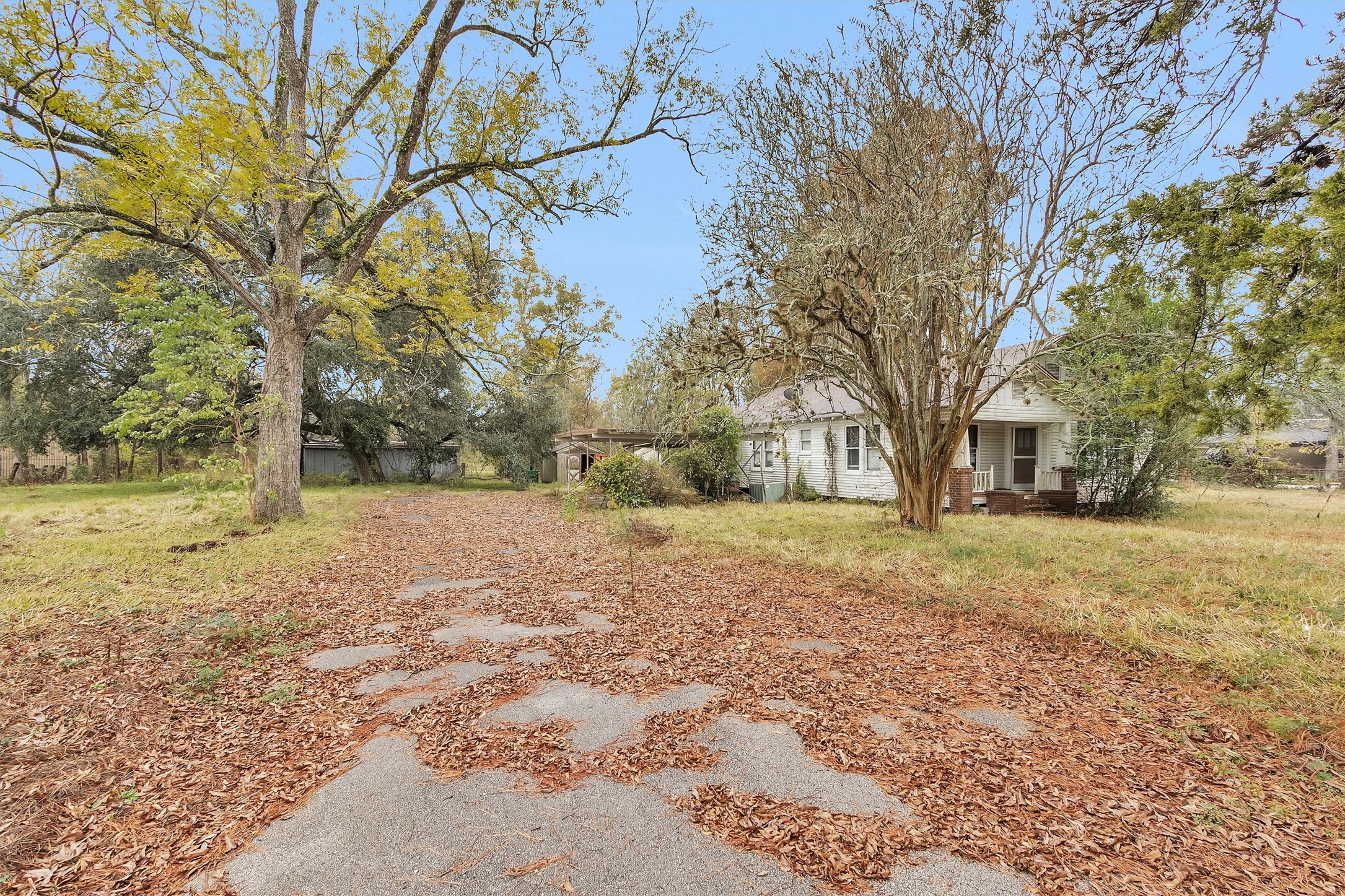 1100 E Houston Property Photo 2