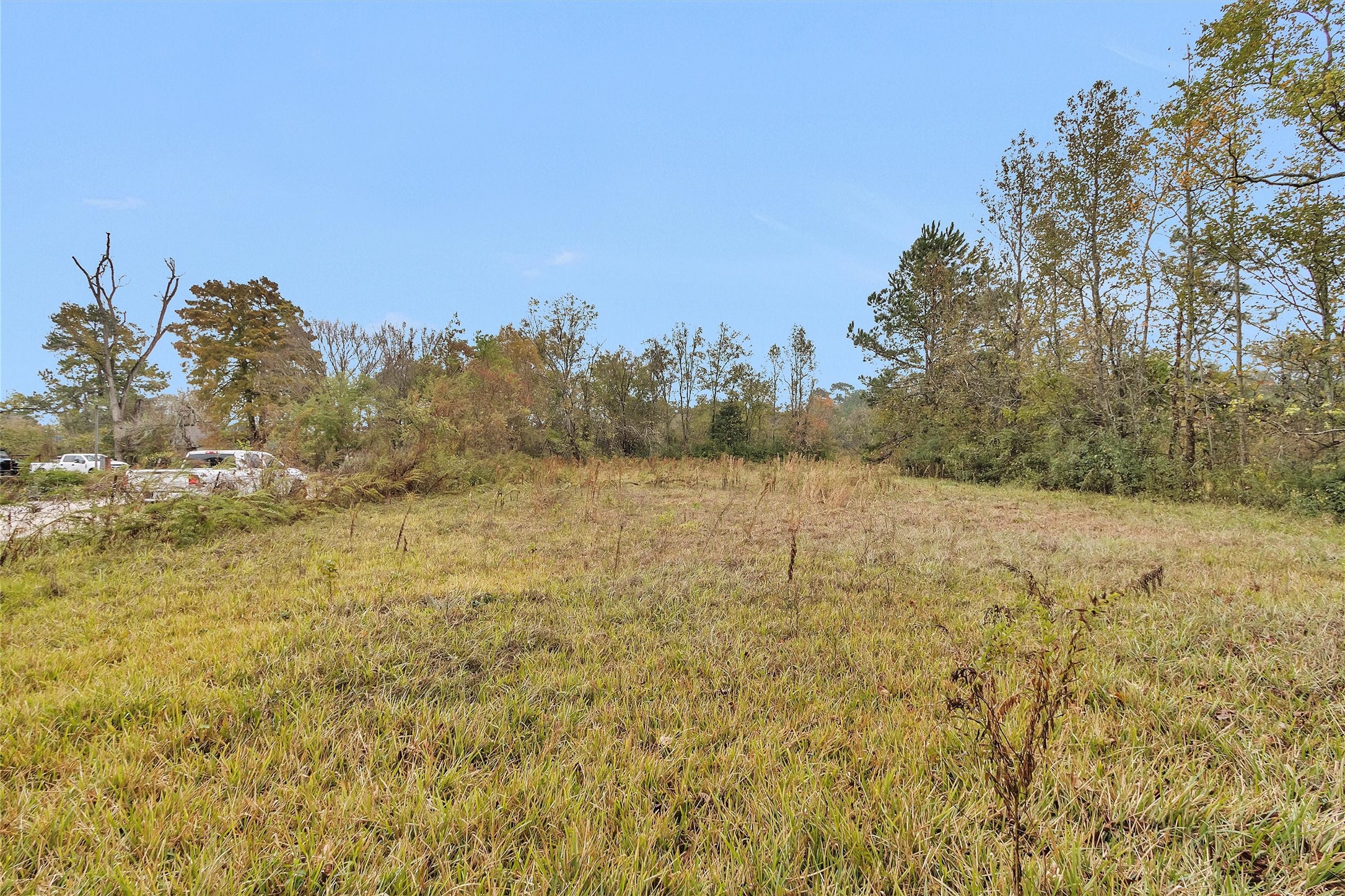 1100 E Houston Property Photo 5