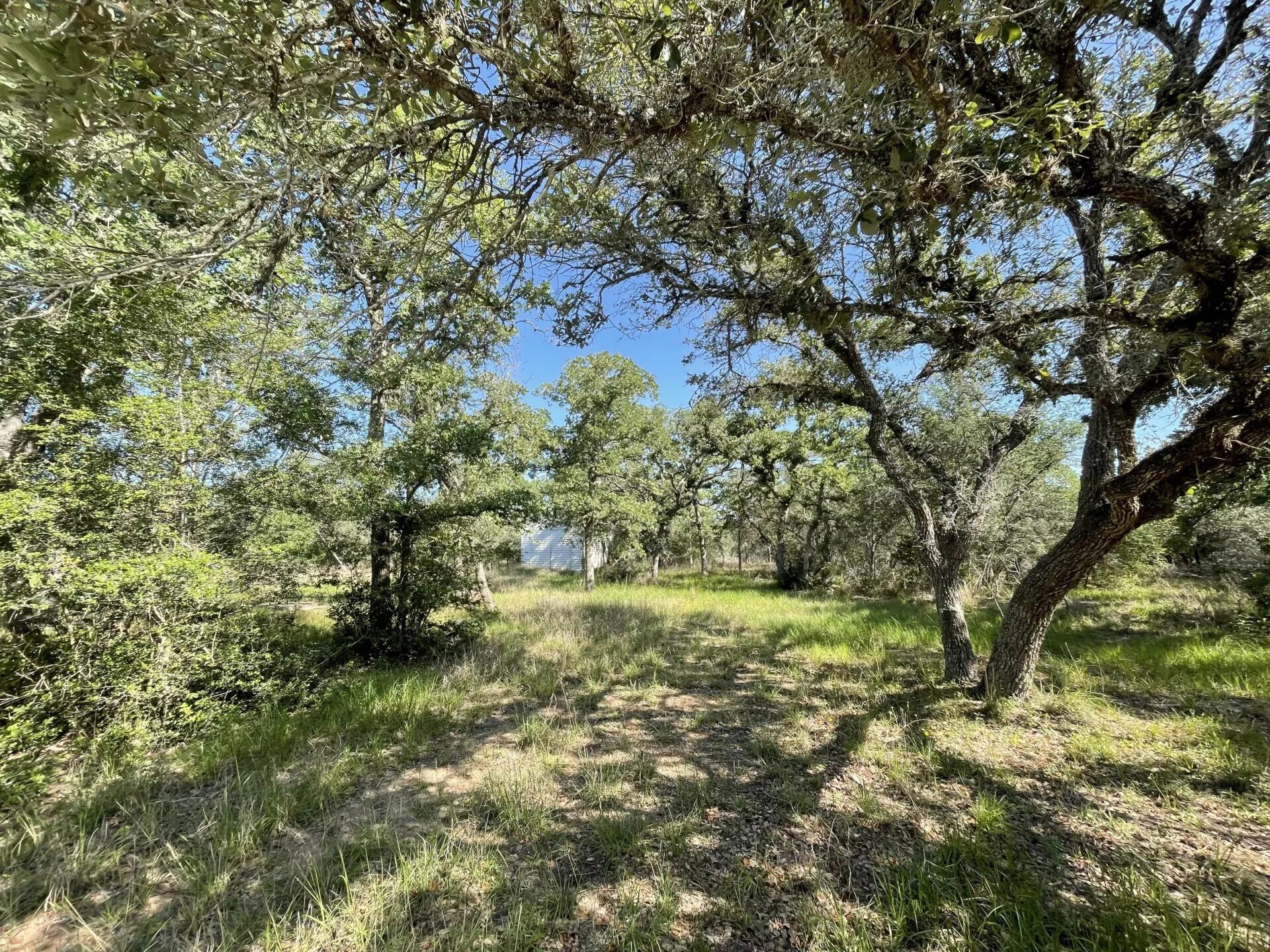 Lot 5 County Road 14, Hallettsville Tx 77964 Property Photo 14