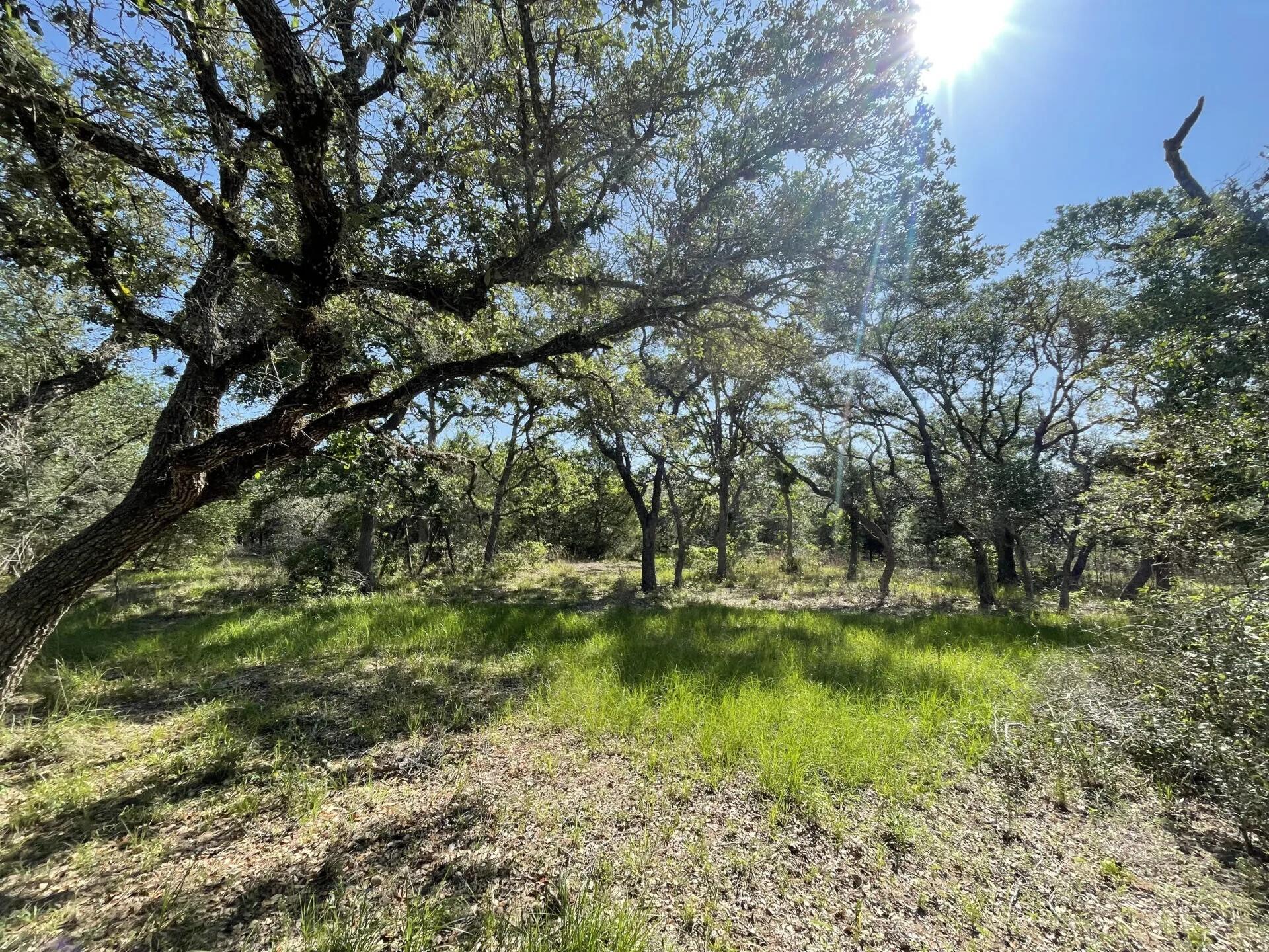 Lot 5 County Road 14, Hallettsville Tx 77964 Property Photo 15