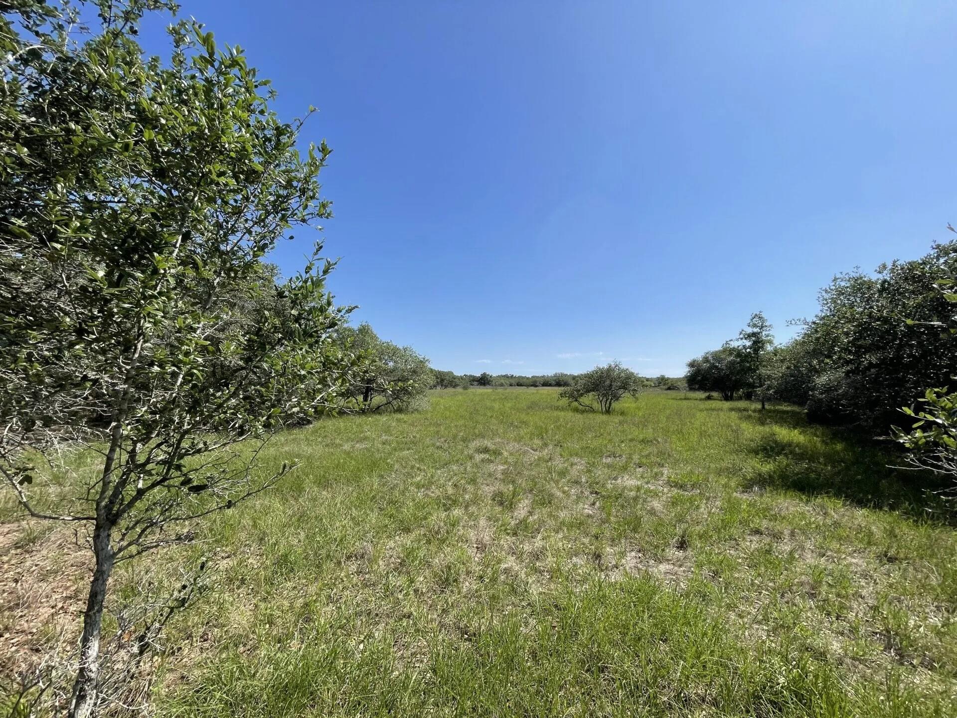 Lot 5 County Road 14, Hallettsville Tx 77964 Property Photo 16