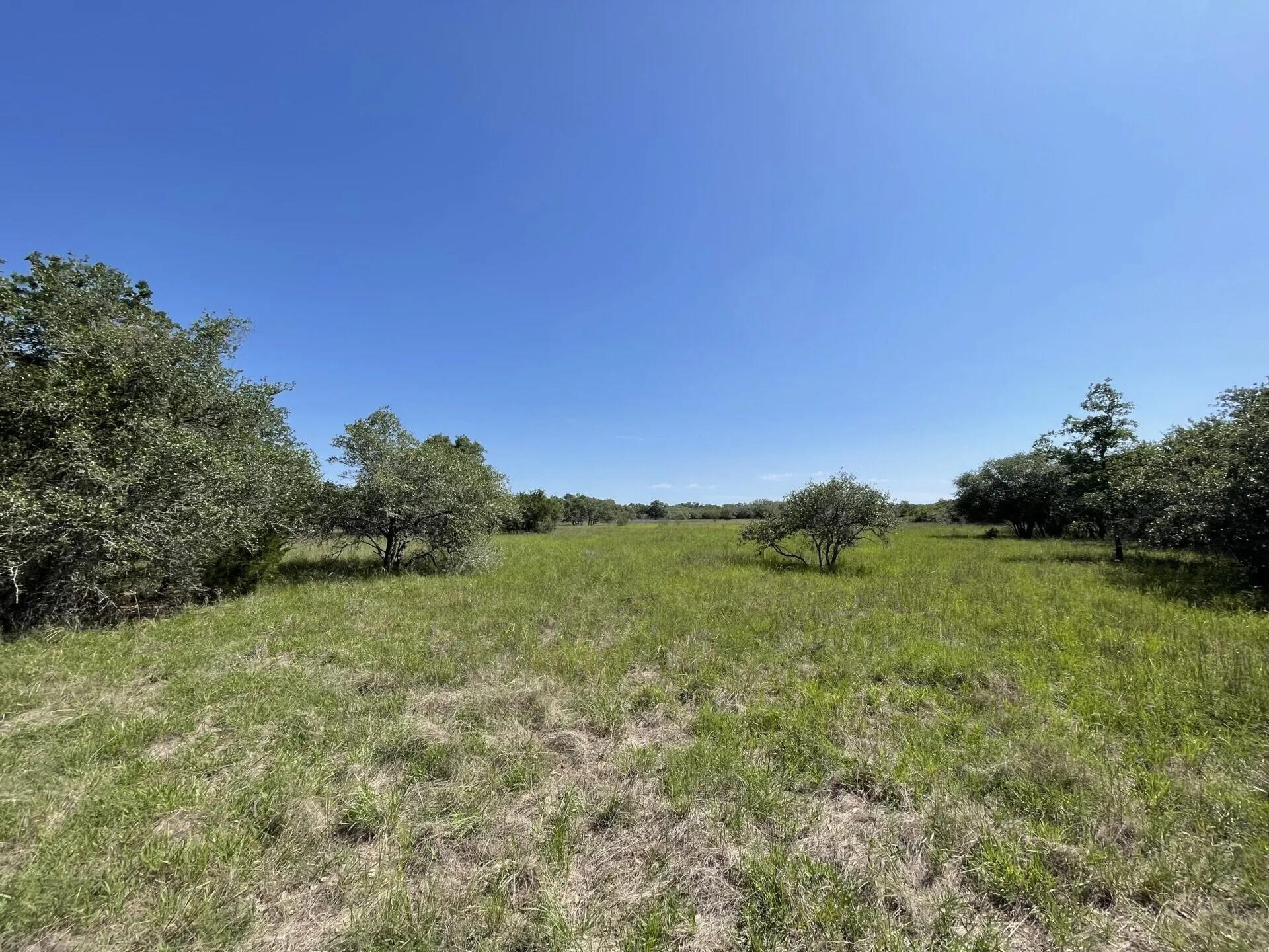 Lot 5 County Road 14, Hallettsville Tx 77964 Property Photo 17