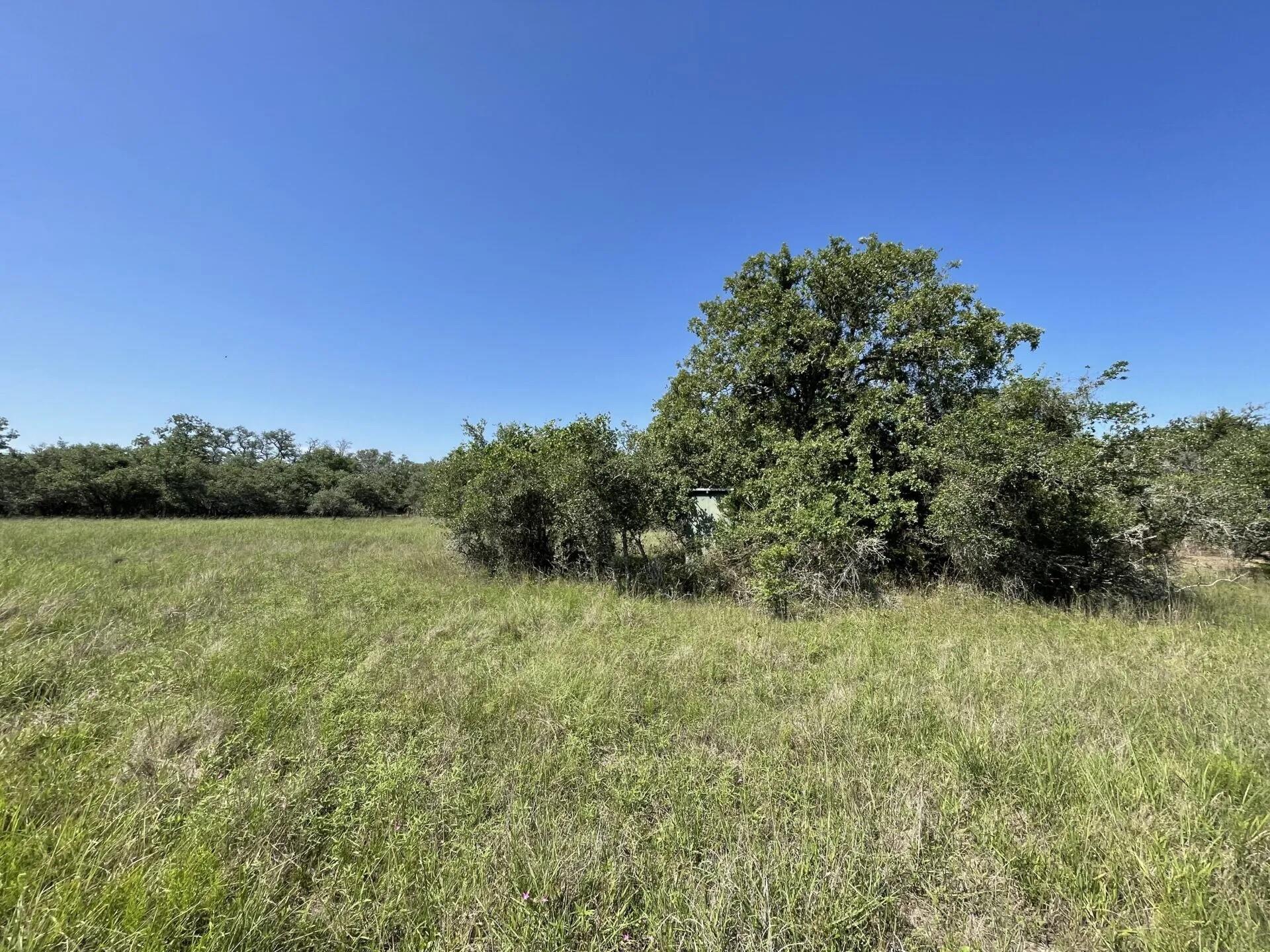 Lot 5 County Road 14, Hallettsville Tx 77964 Property Photo 23