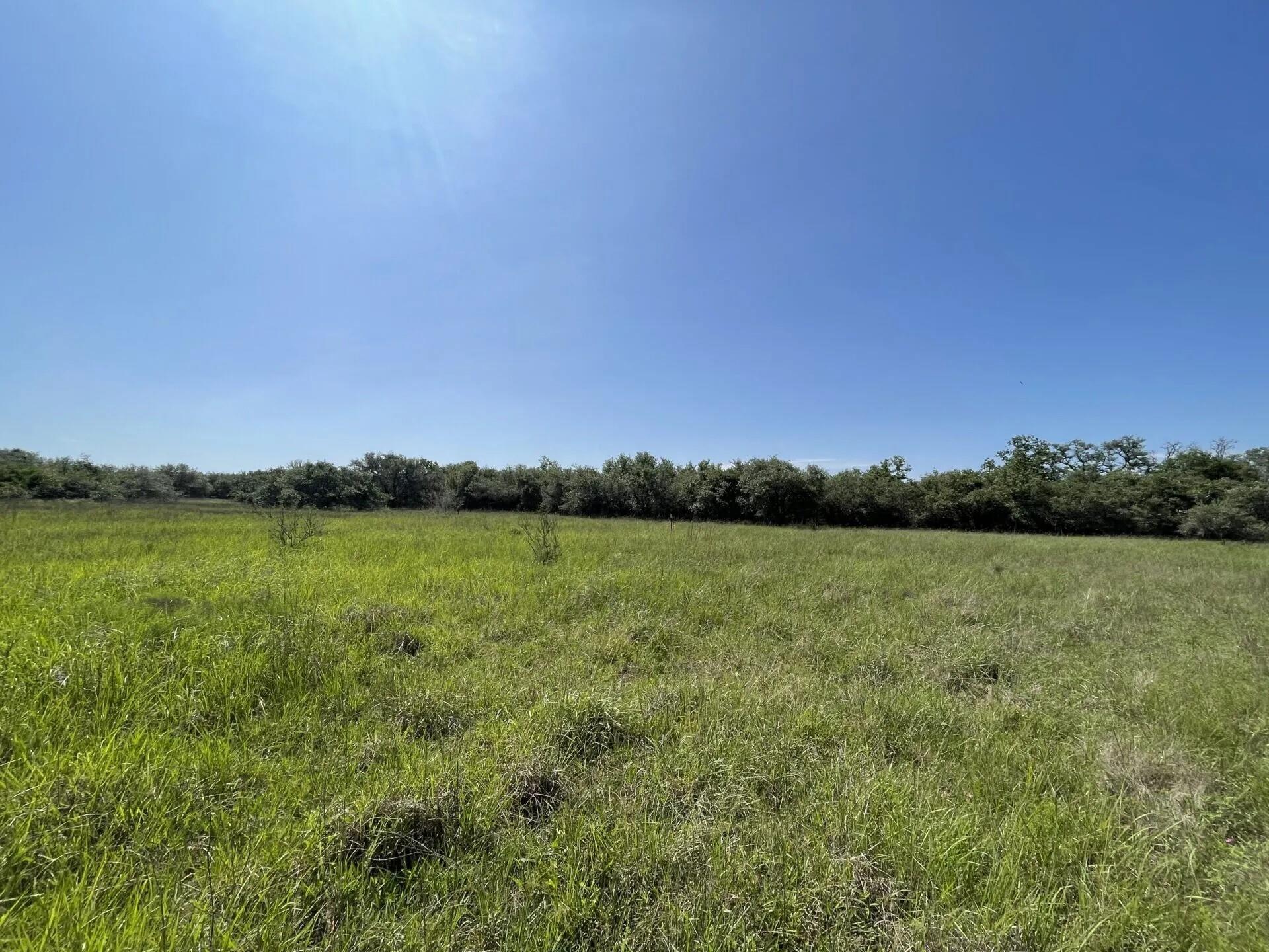 Lot 5 County Road 14, Hallettsville Tx 77964 Property Photo 24