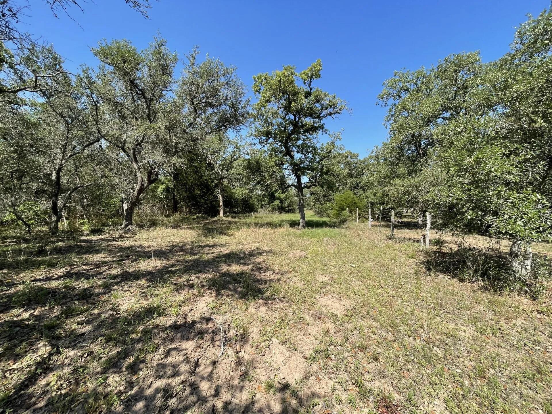 Lot 5 County Road 14, Hallettsville Tx 77964 Property Photo 26