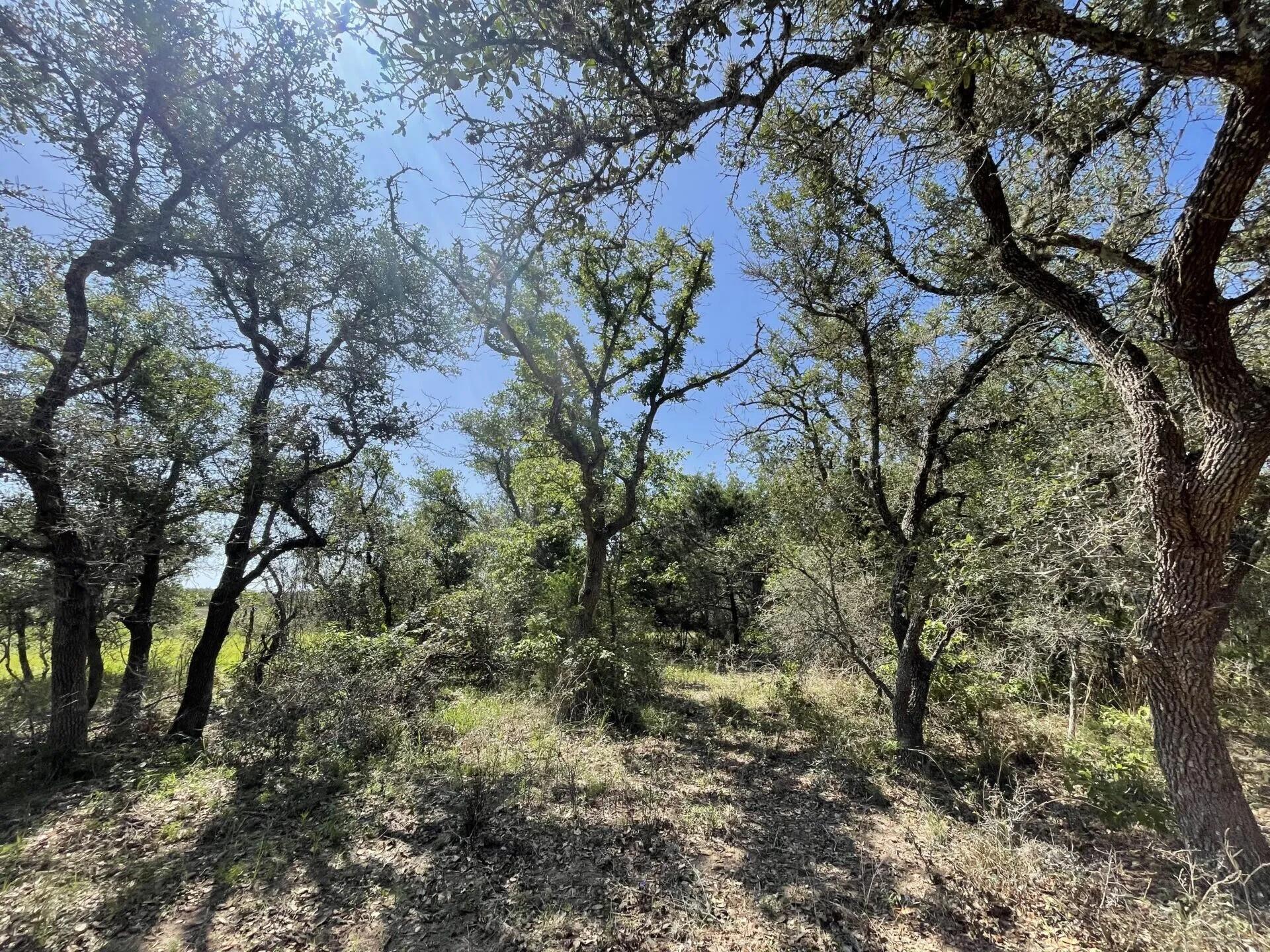 Lot 5 County Road 14, Hallettsville Tx 77964 Property Photo 28