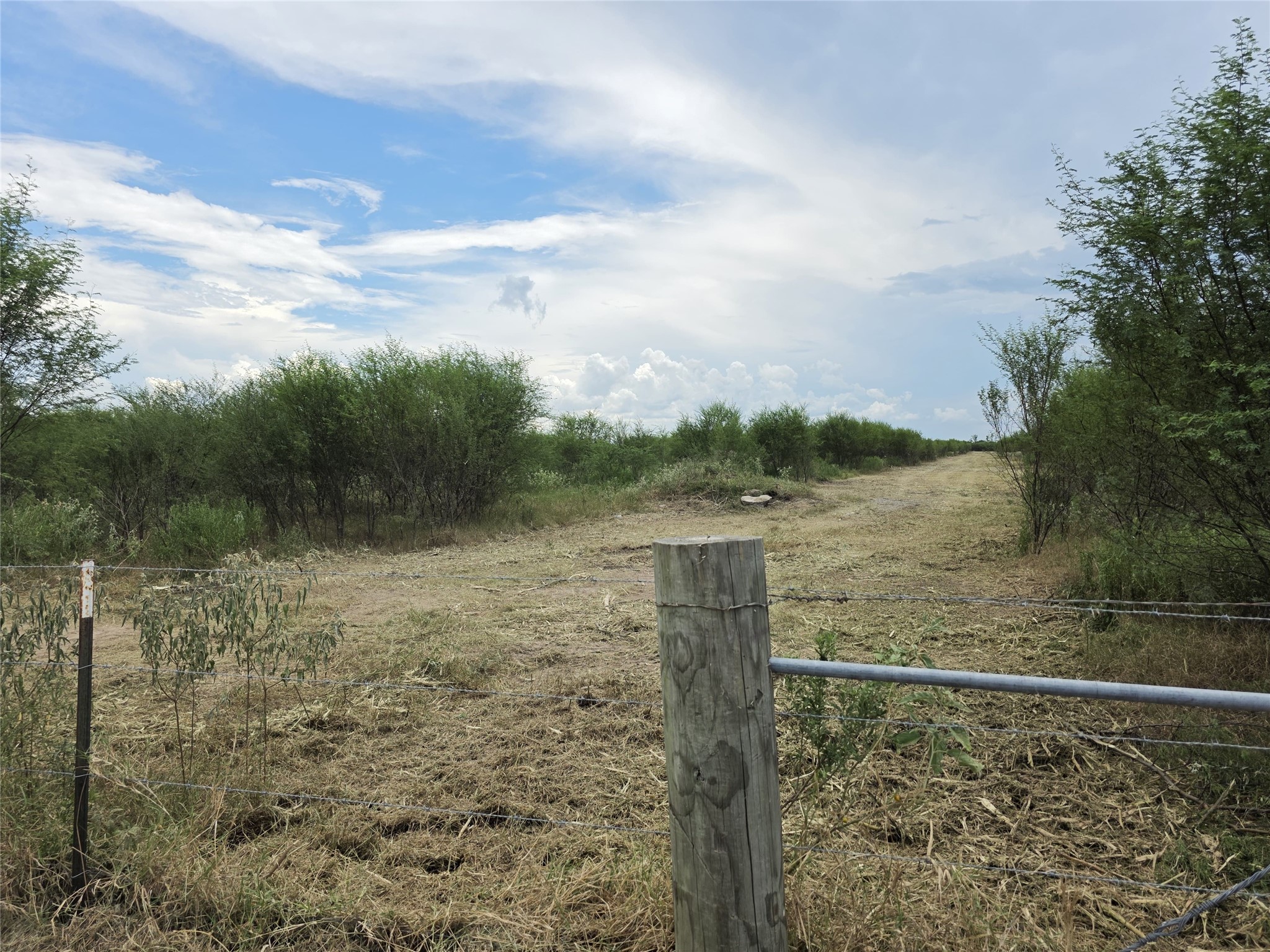 36847 Richard Frey Drive Property Photo 3
