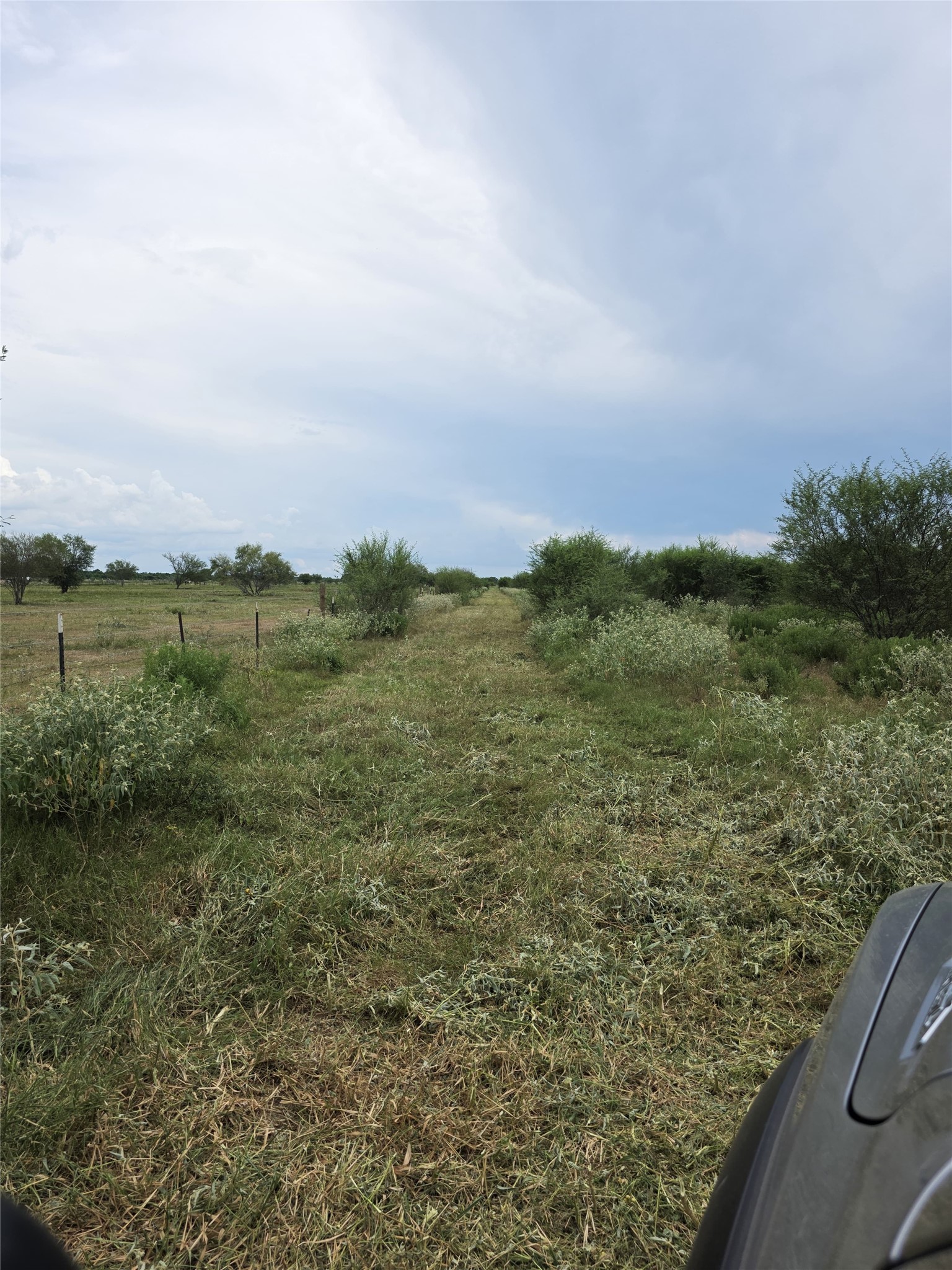 36847 Richard Frey Drive Property Photo 8