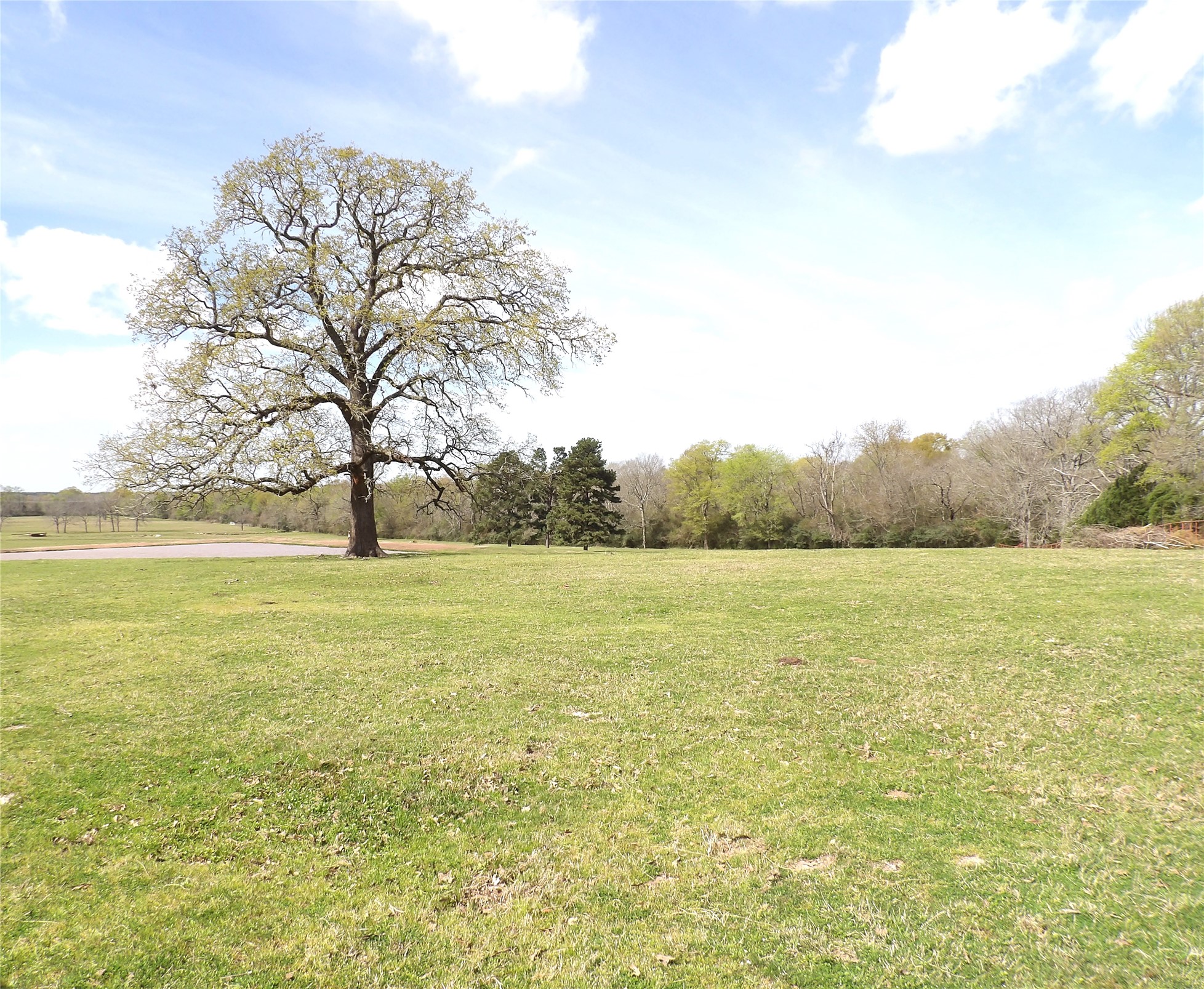 3145 Fm 1280 W Property Photo 4