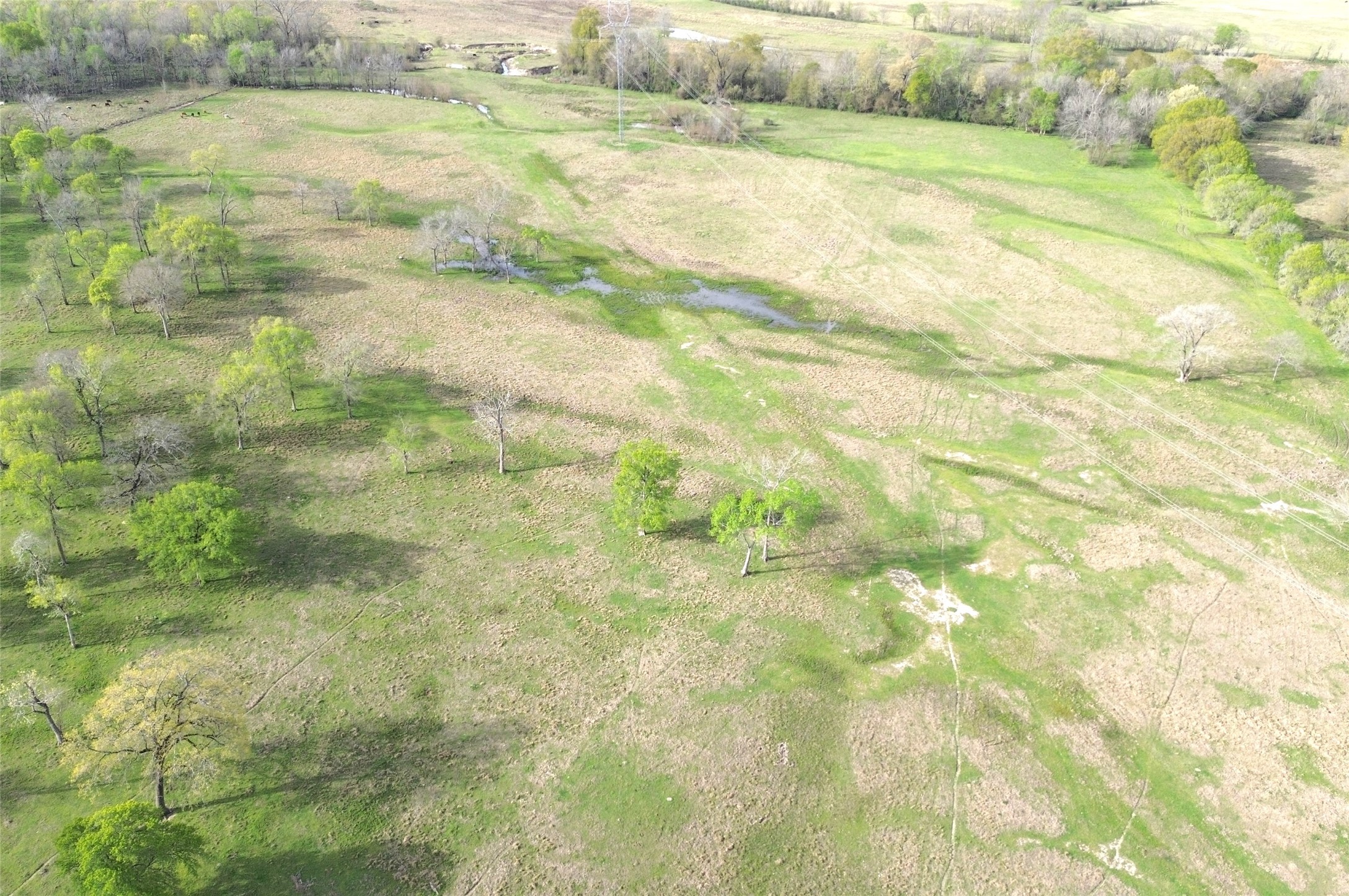 3145 Fm 1280 W Property Photo 14