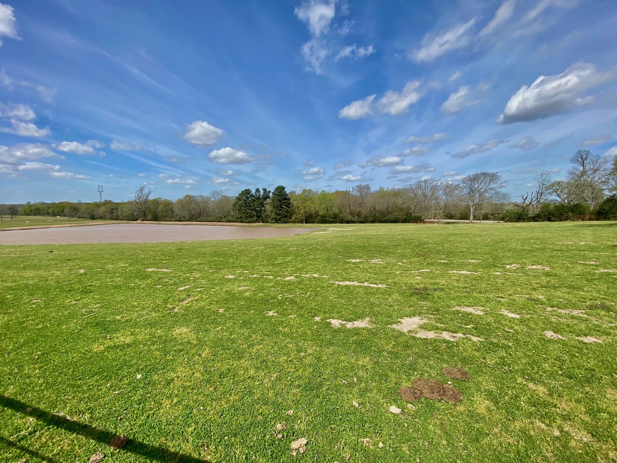 3145 Fm 1280 W Property Photo 22