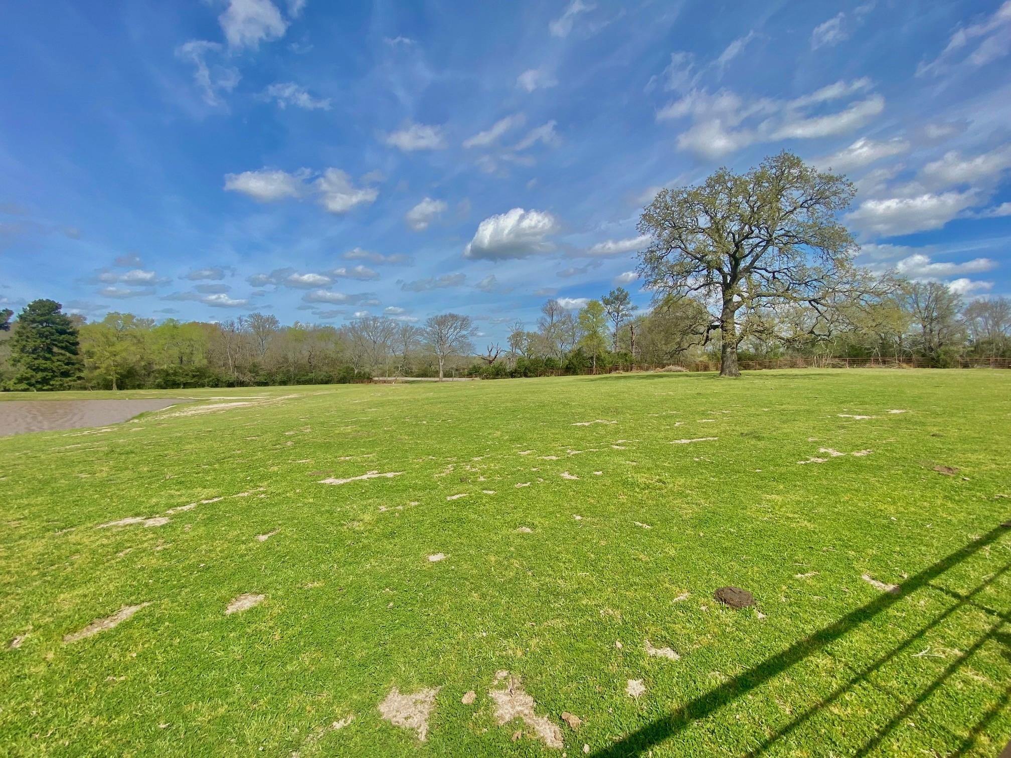 3145 Fm 1280 W Property Photo 23