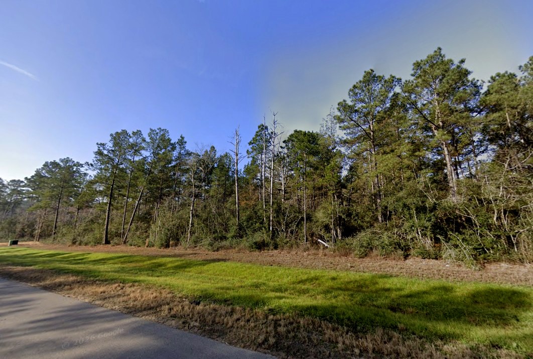 11561 Inspiration Drive Property Photo 8