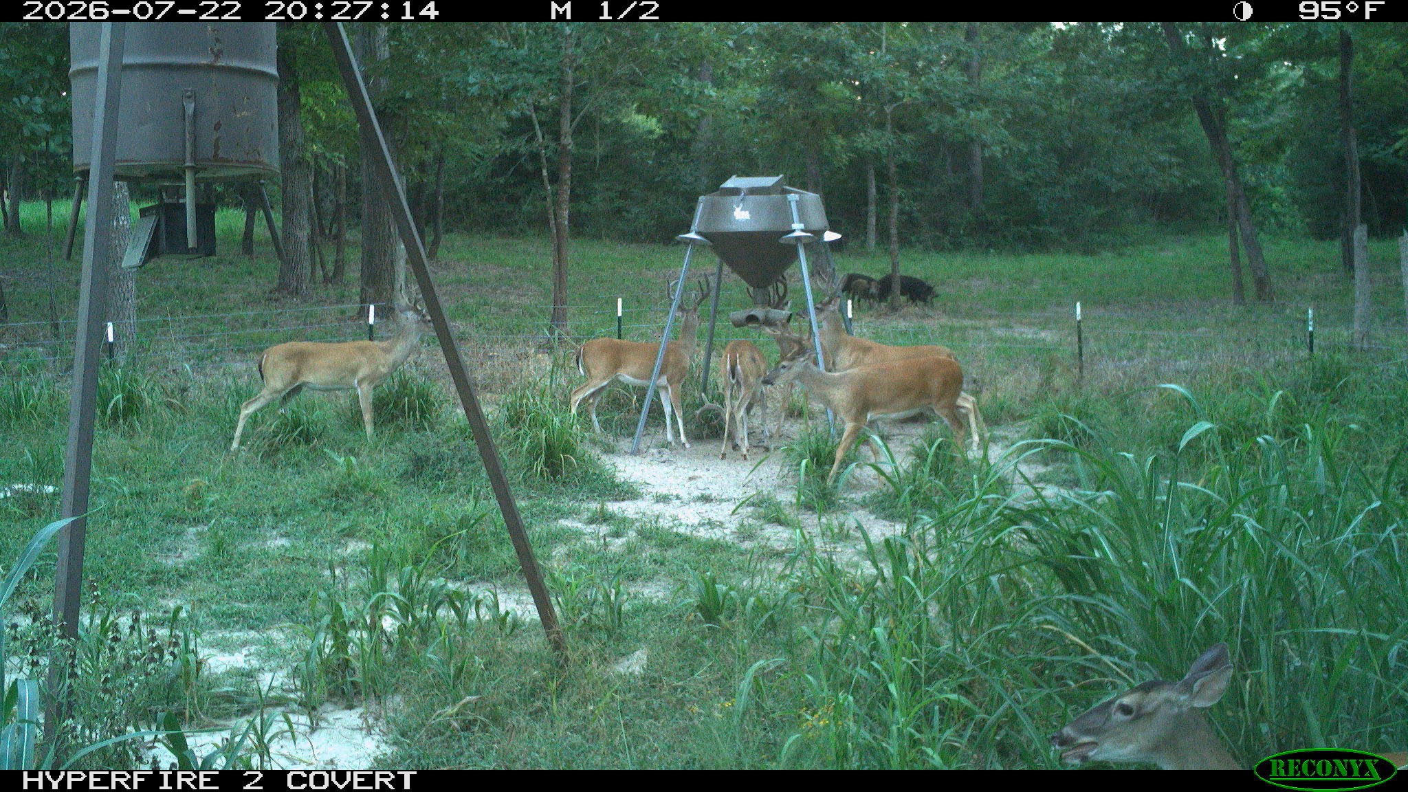 8980 Fm 1511 Property Photo 2