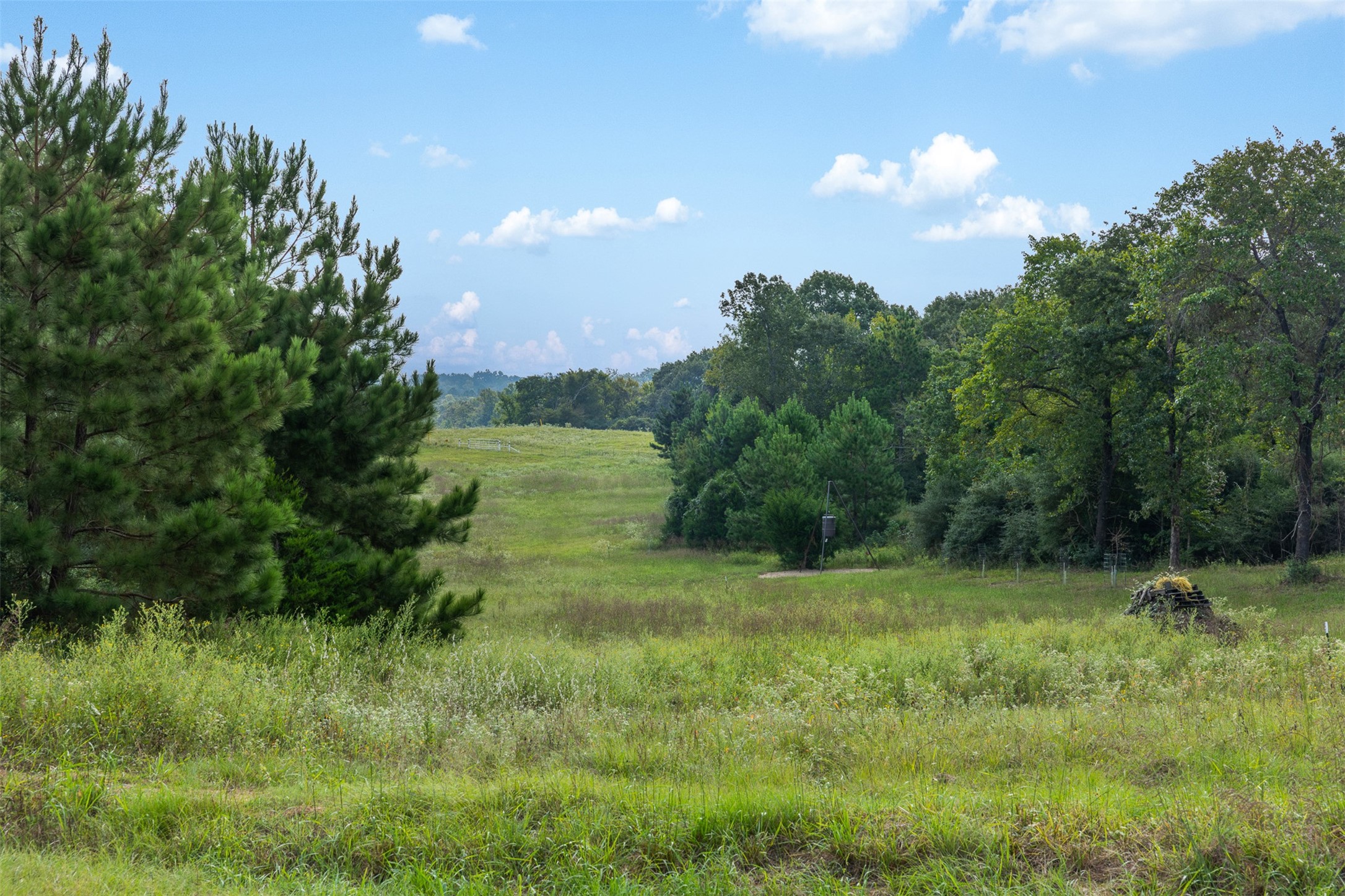 8980 Fm 1511 Property Photo 3