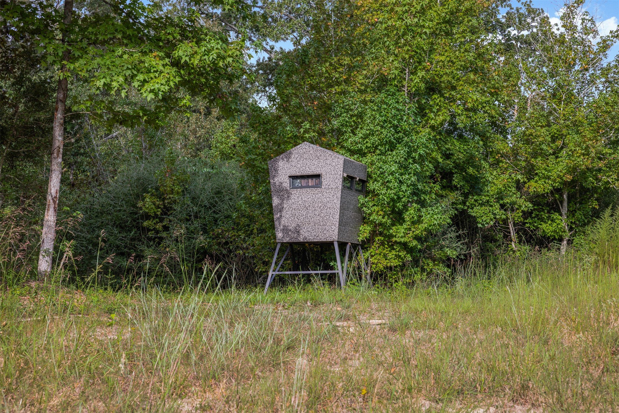 8980 Fm 1511 Property Photo 6