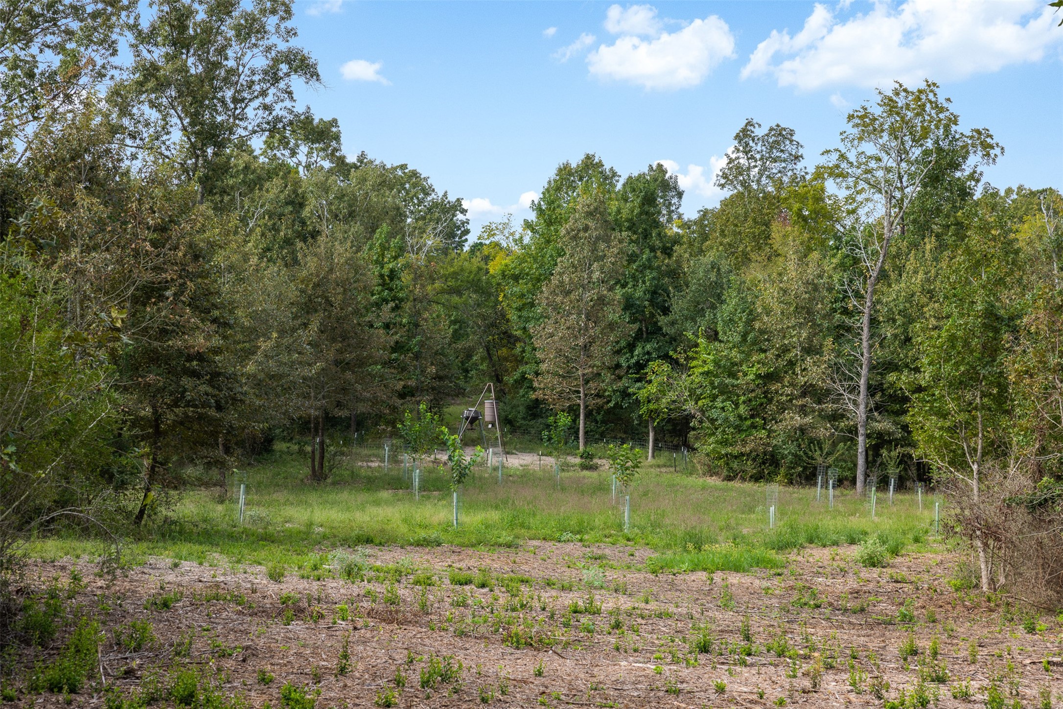 8980 Fm 1511 Property Photo 7