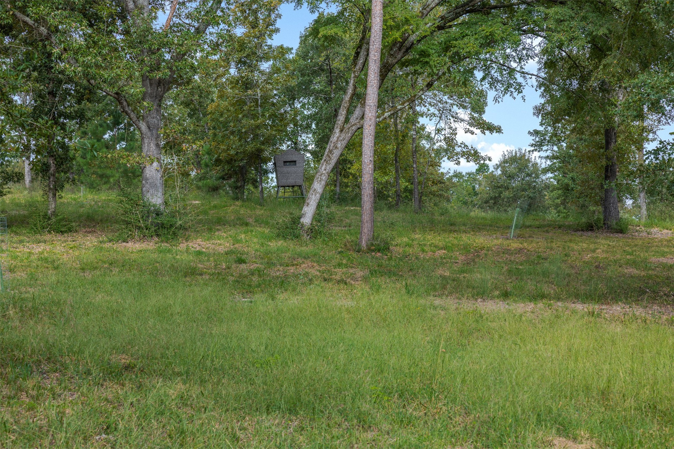 8980 Fm 1511 Property Photo 10