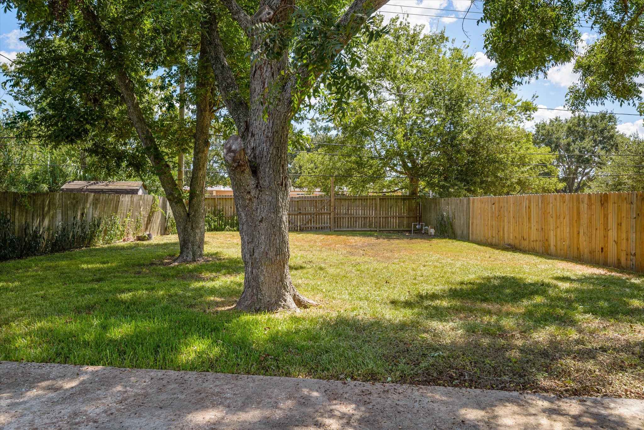 9802 Carmalee Street Property Photo 16