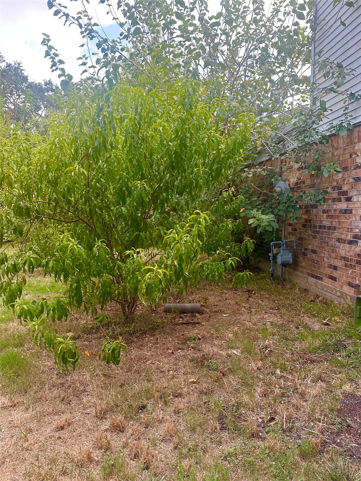 15815 Boridge Circle Property Photo 11