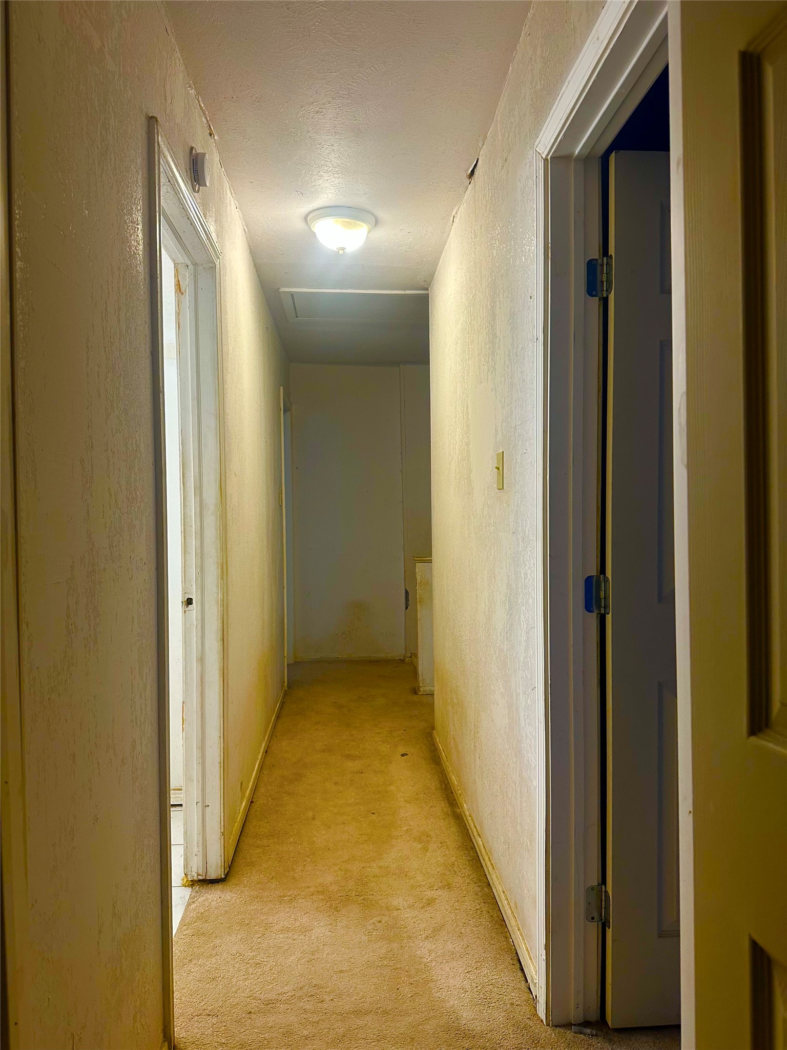 15815 Boridge Circle Property Photo 14