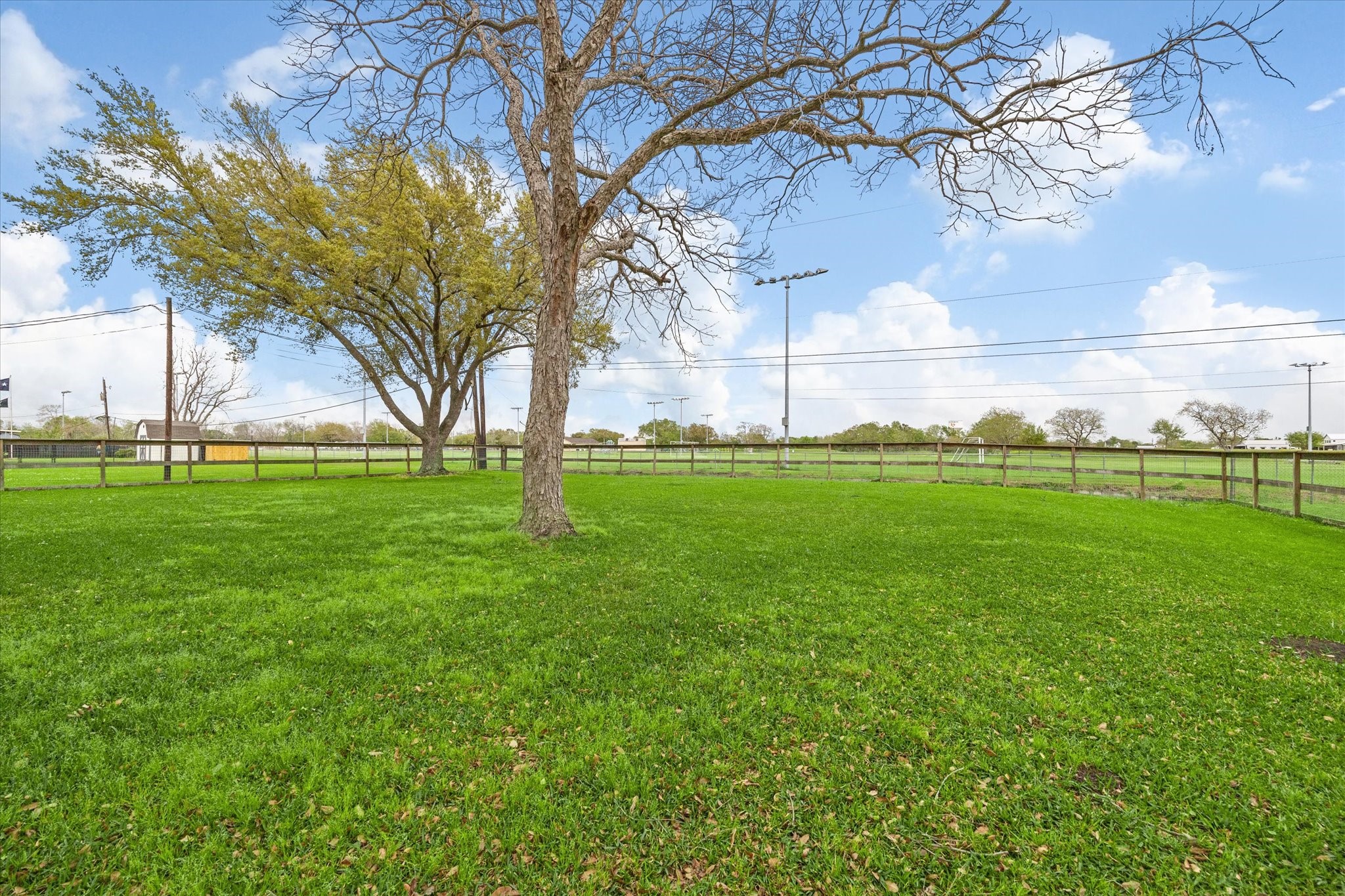 1613 Willow View Street Property Photo