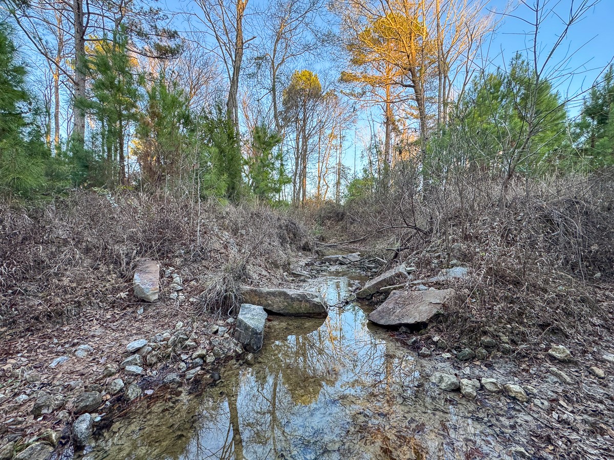 T-3 Cr 4415 Property Photo 6
