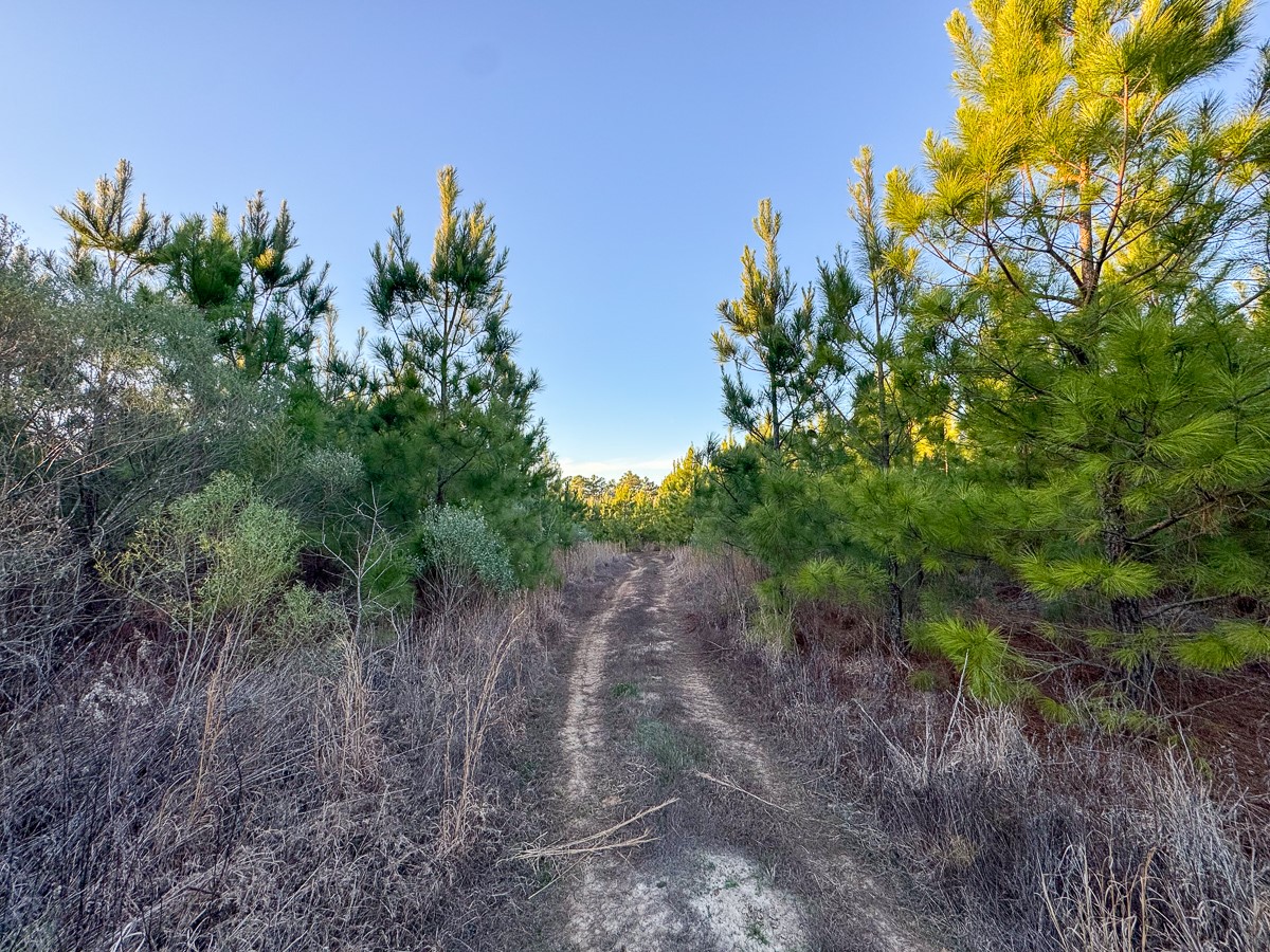 T-3 Cr 4415 Property Photo 13
